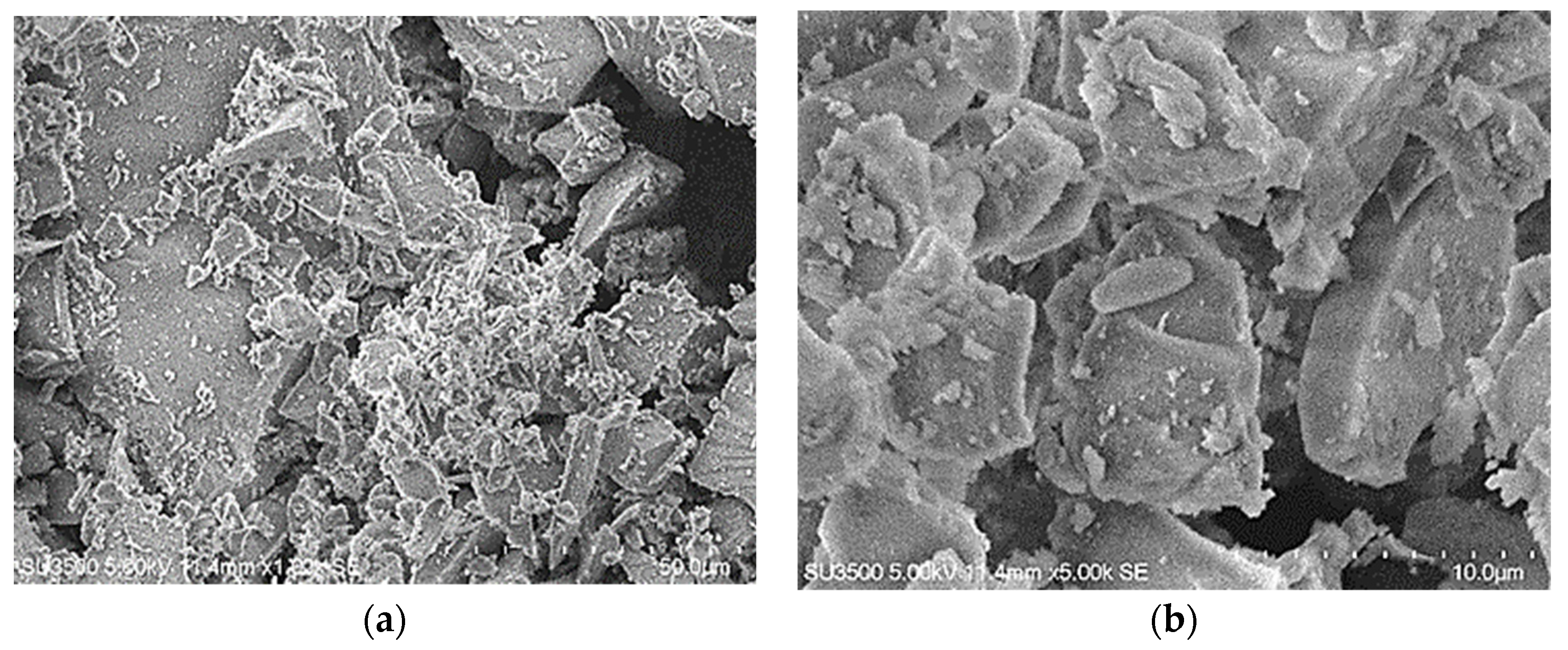 Catalysts 11 01150 g003 550
