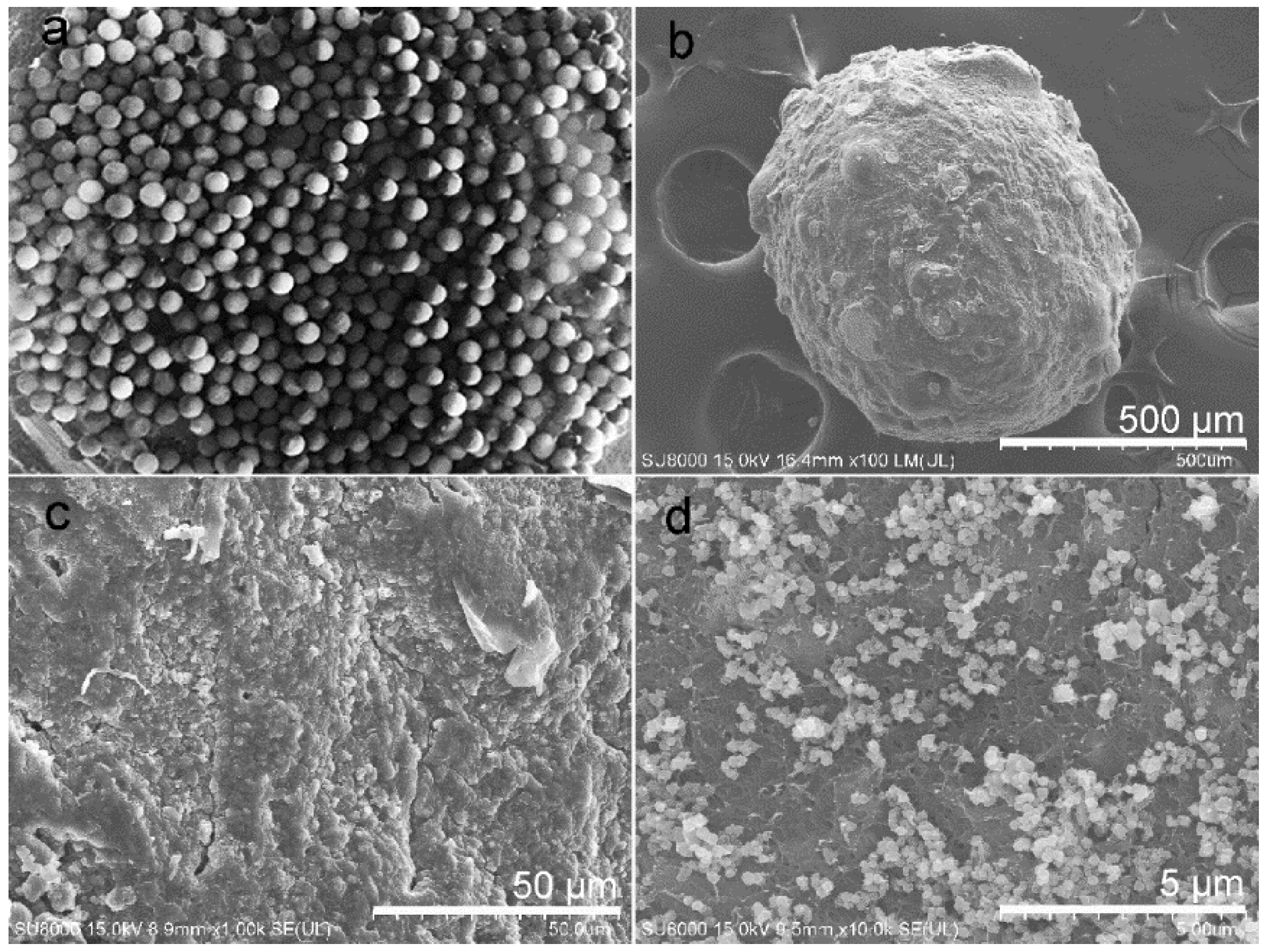 Catalysts 11 01158 g002 550