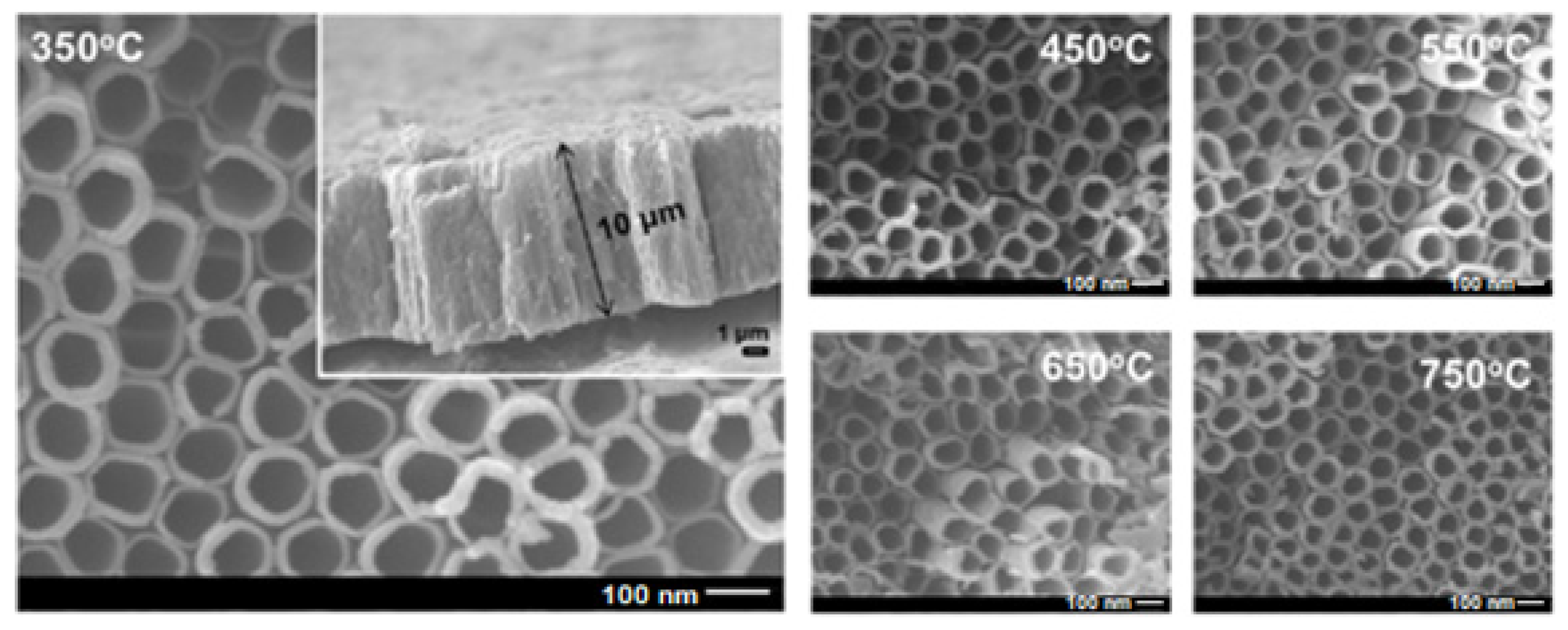 Catalysts 11 01160 g002