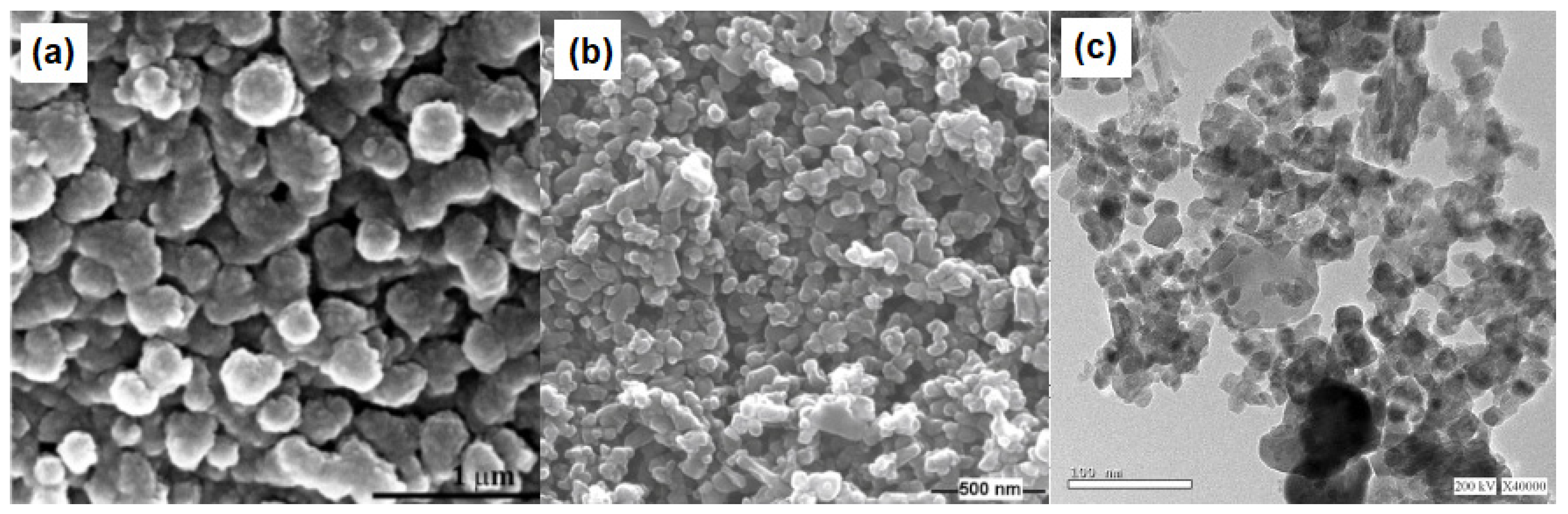 Catalysts 11 01160 g003