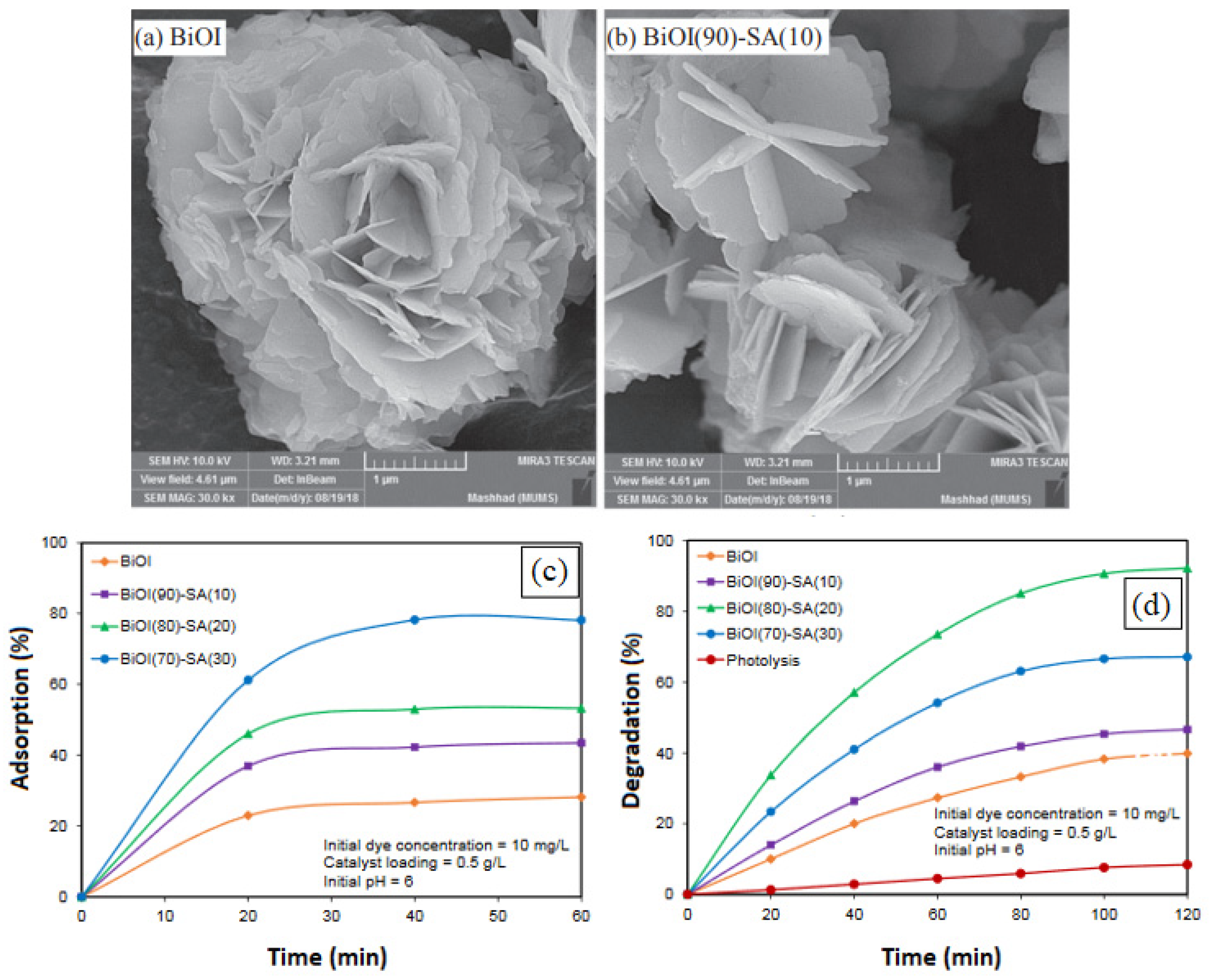 Catalysts 11 01160 g006