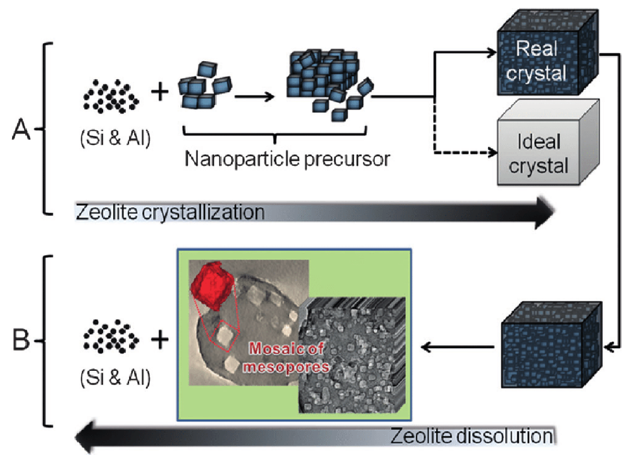 Catalysts 11 01162 g003 550