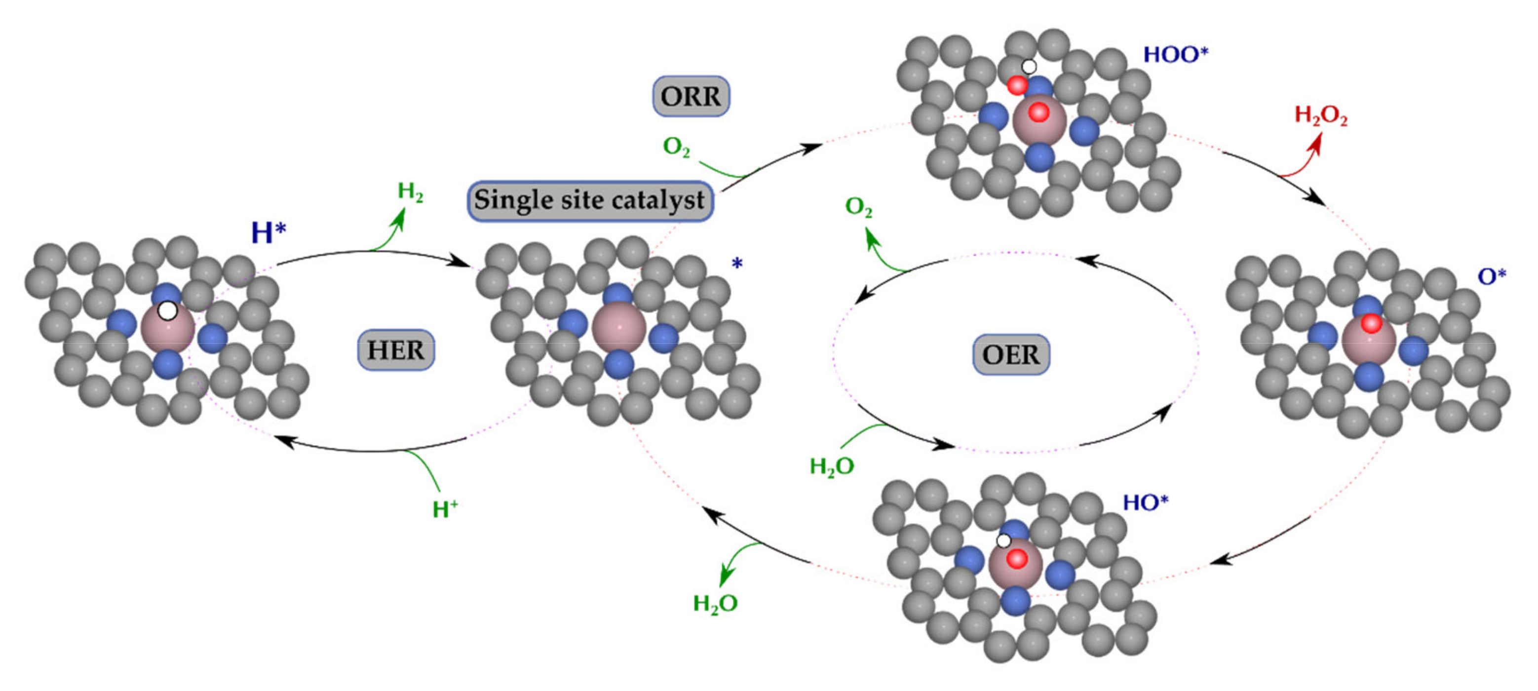 Catalysts 11 01165 g001 Catalysts 11 01165 g001