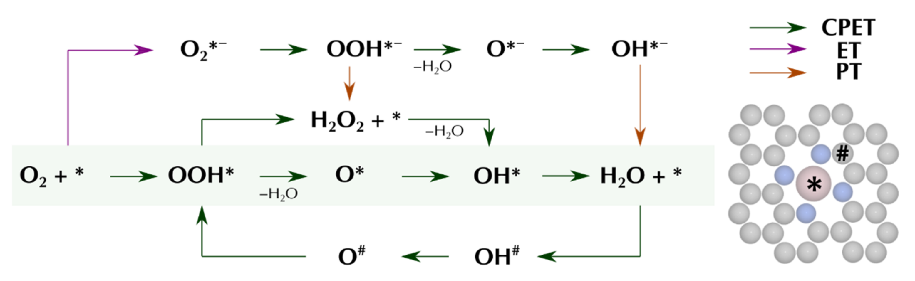 Catalysts 11 01165 g007 Catalysts 11 01165 g007