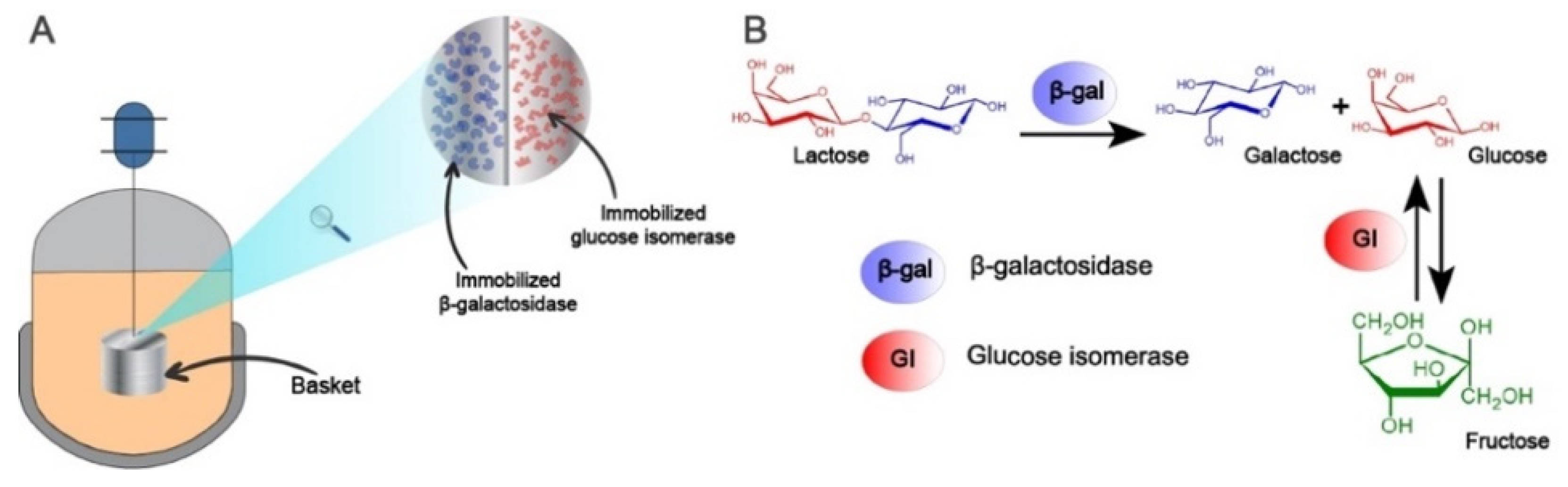 Catalysts 11 01167 g001