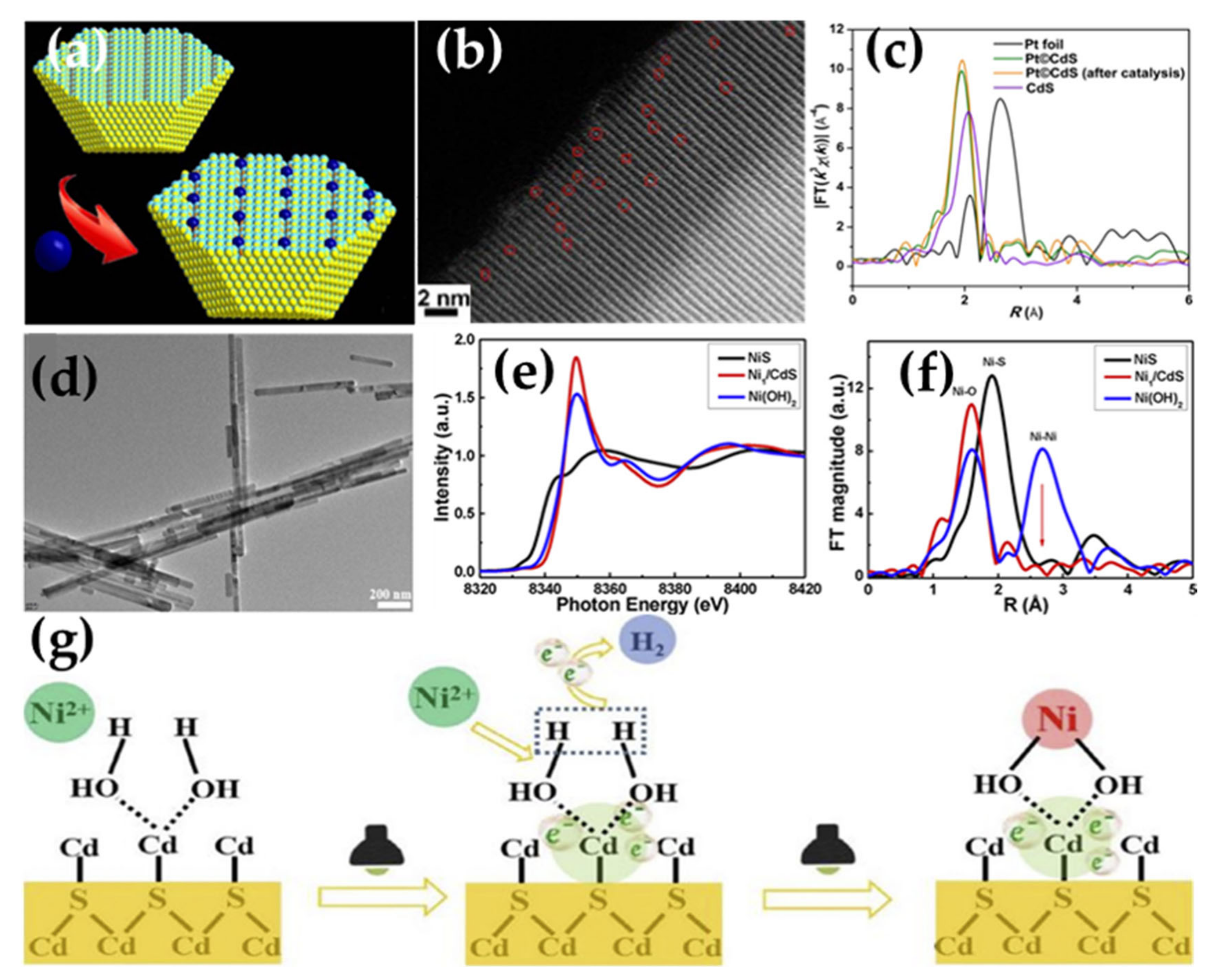 Catalysts 11 01168 g002