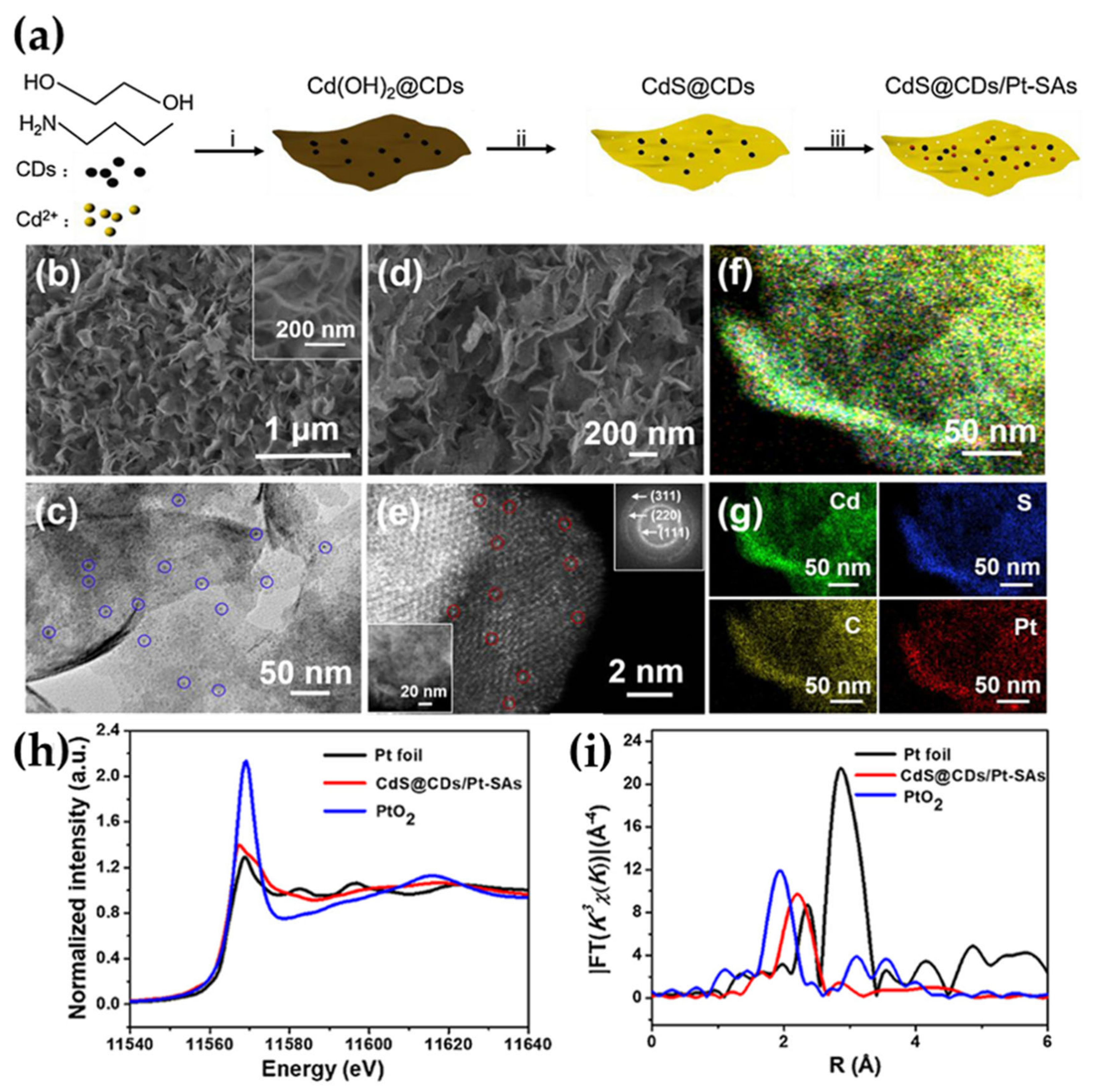 Catalysts 11 01168 g007