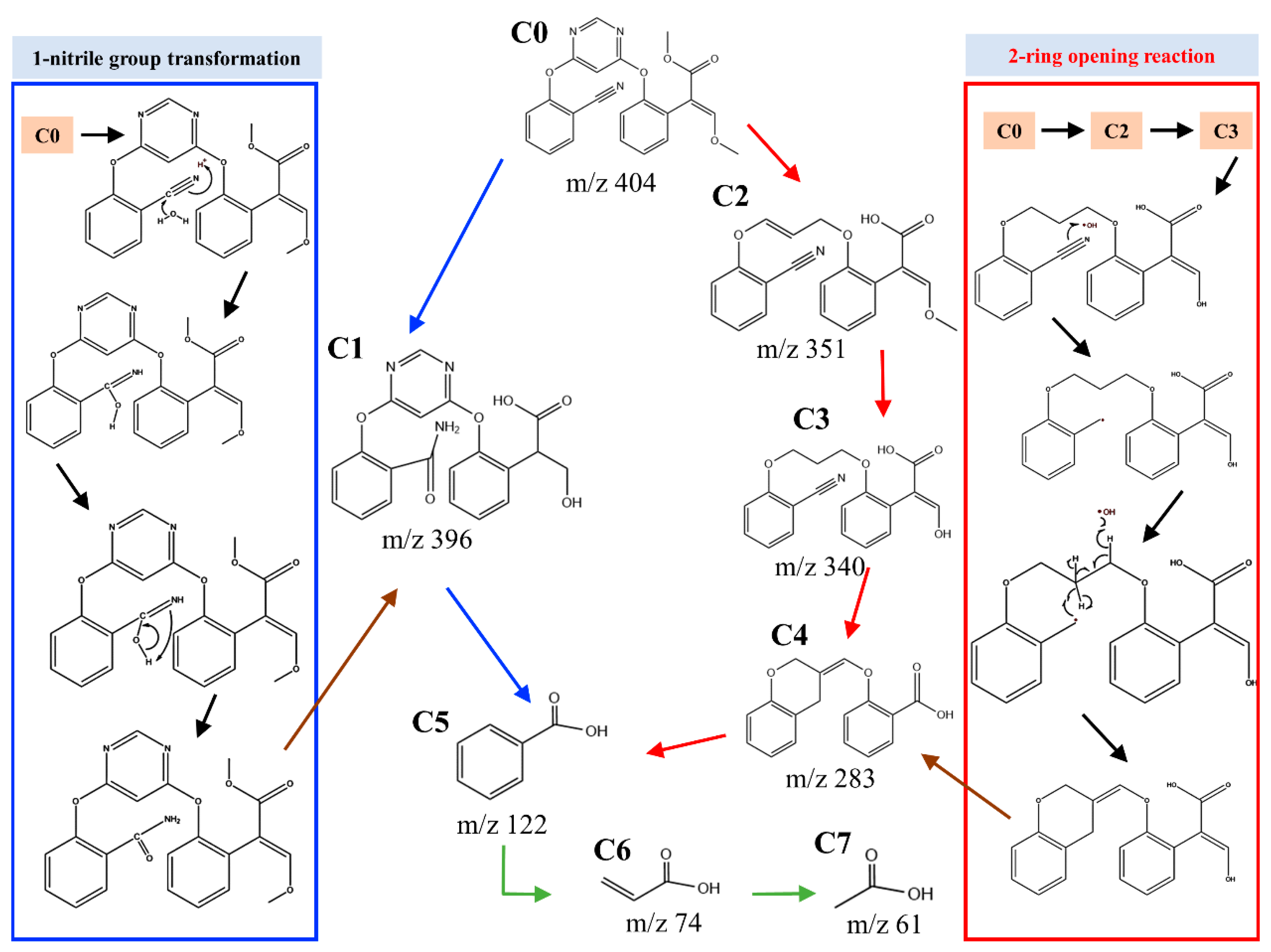 Catalysts 11 01169 g009 550