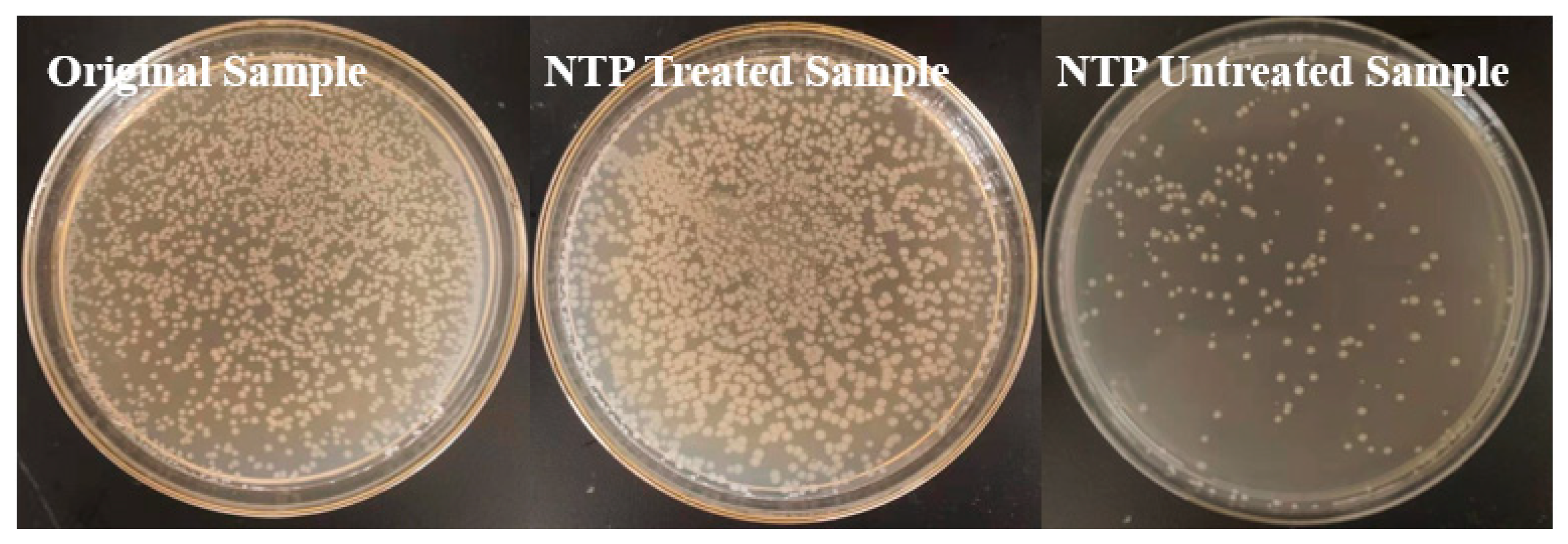 Catalysts 11 01169 g010 550