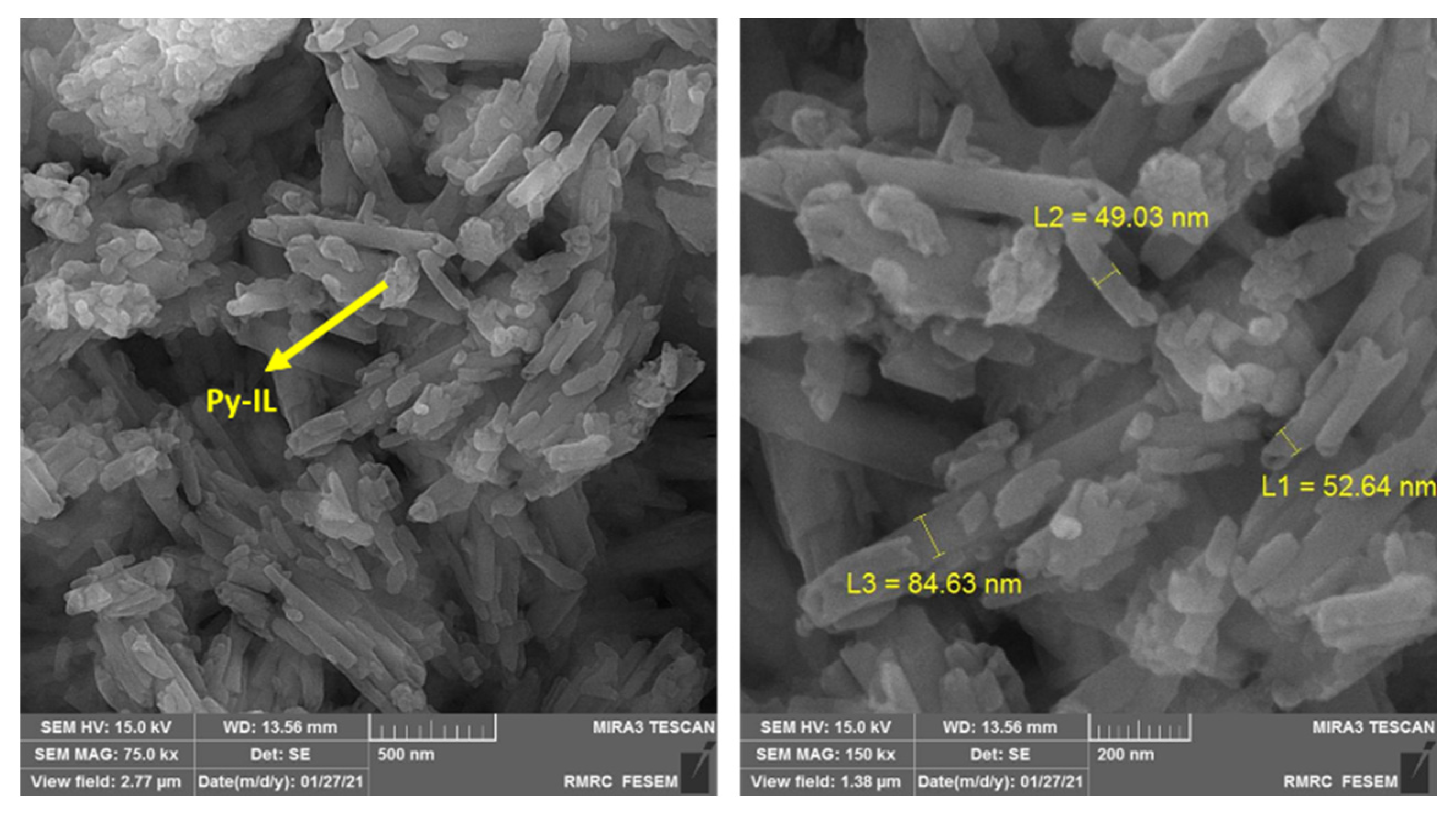 Catalysts 11 01172 g002 550