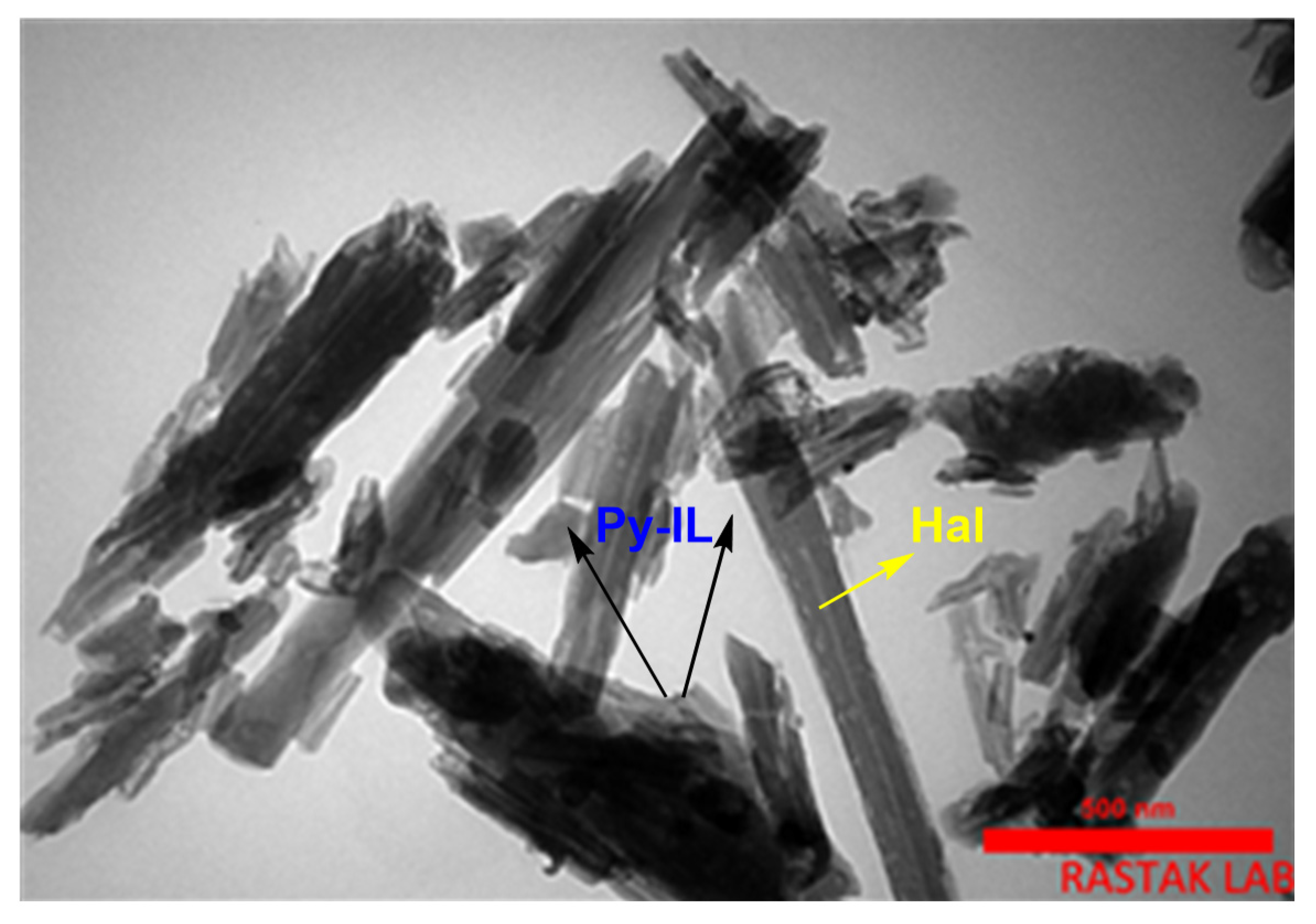 Catalysts 11 01172 g003 550