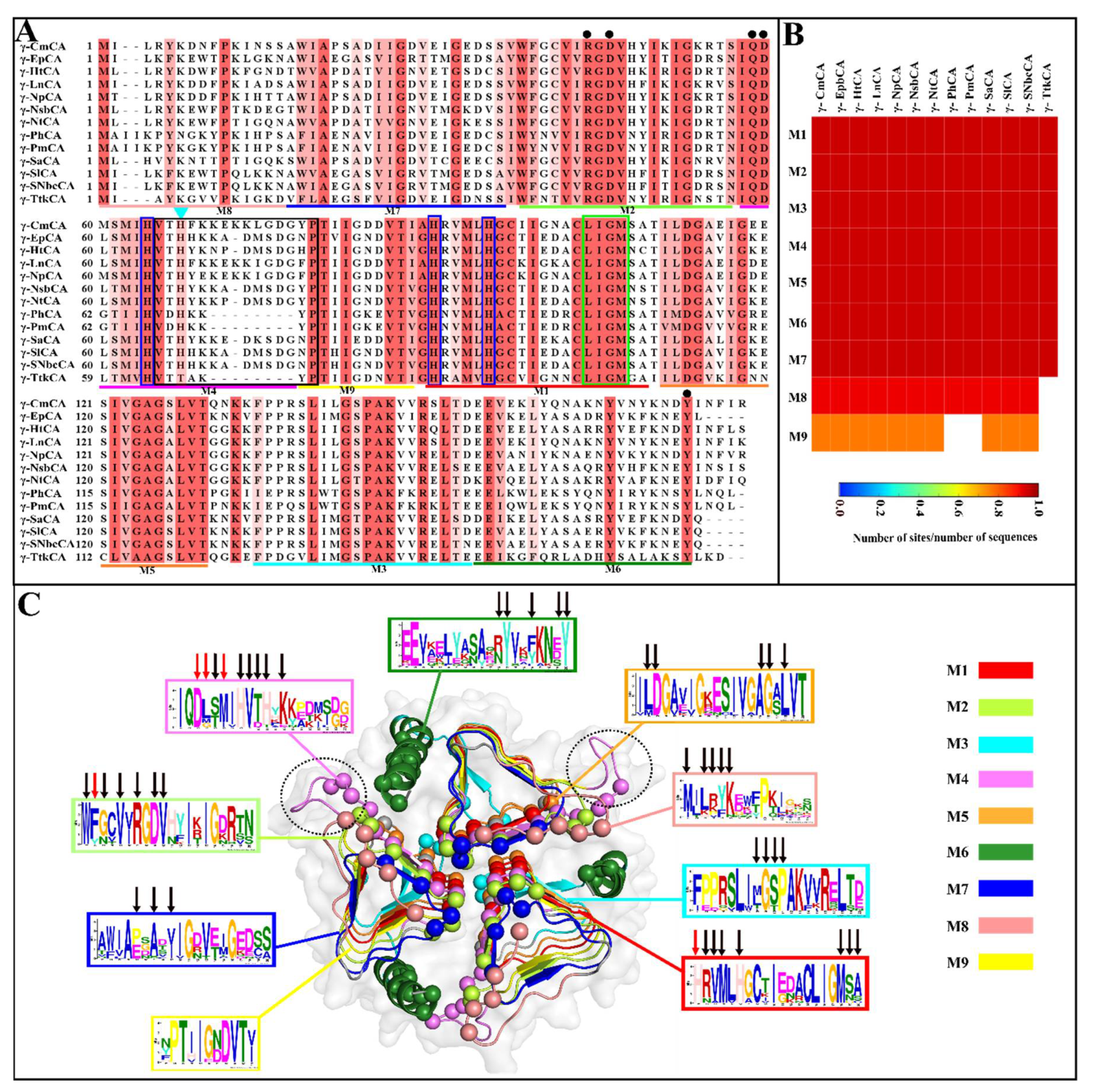 Catalysts 11 01177 g002