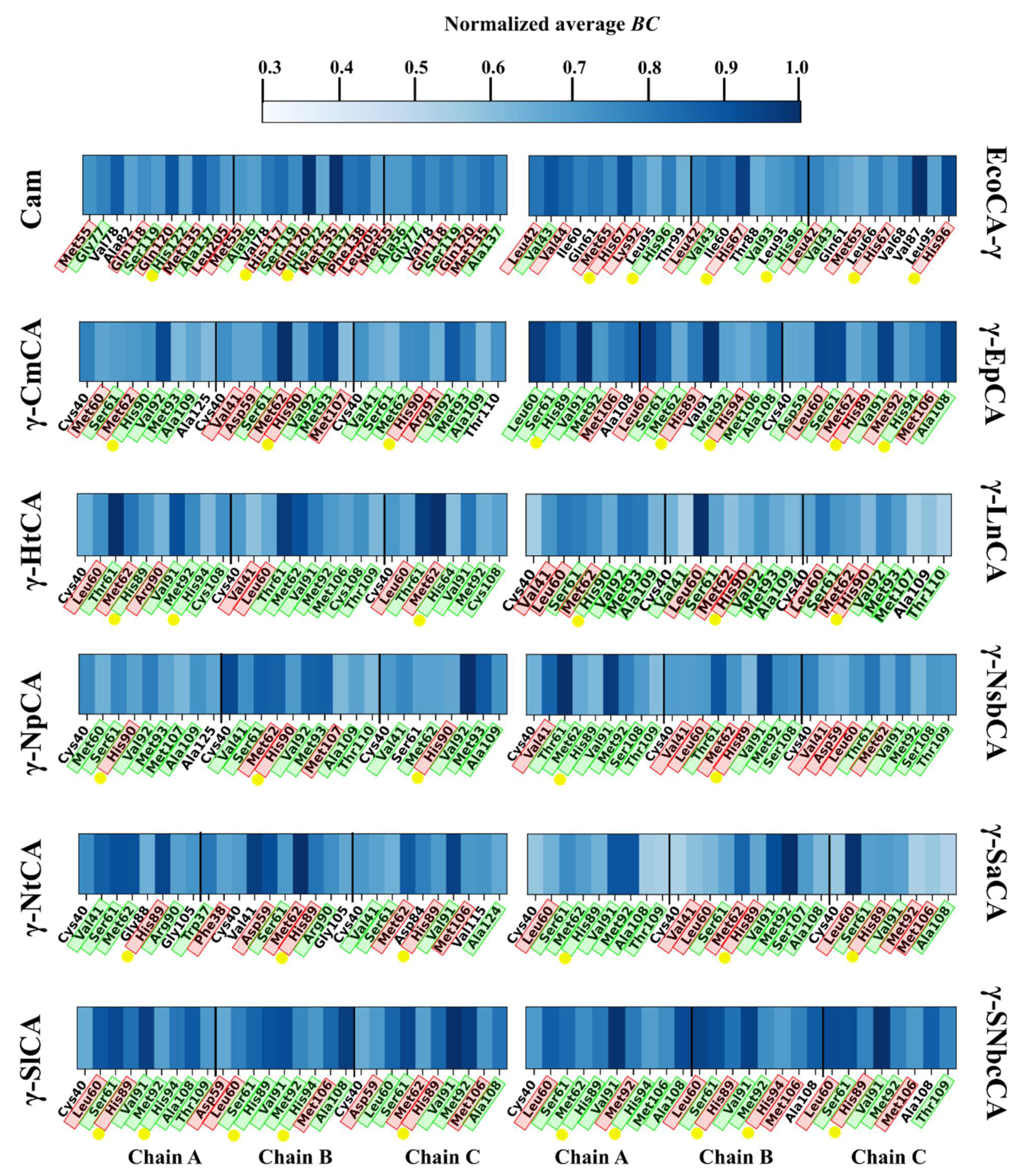 Catalysts 11 01177 g005