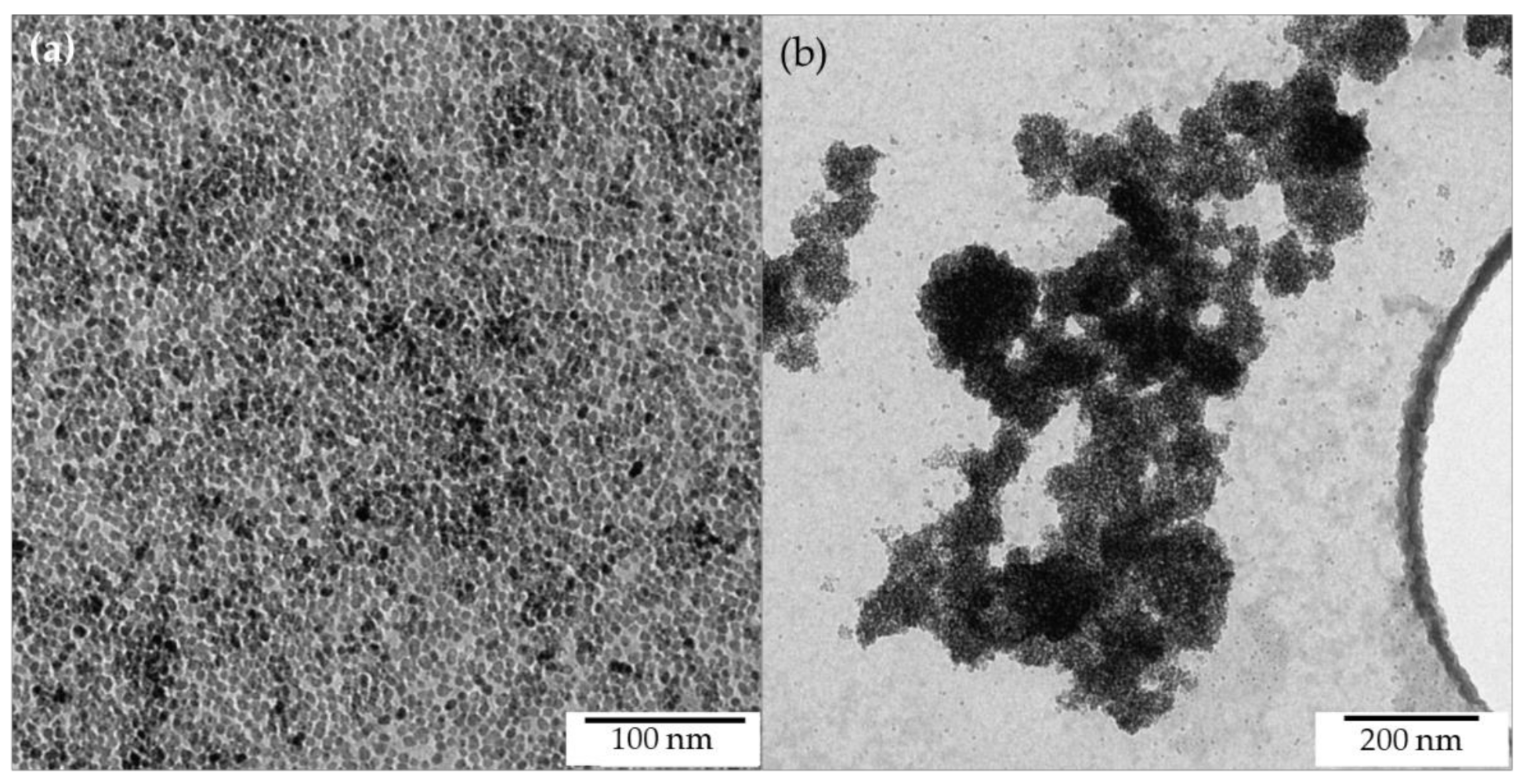 Catalysts 11 01182 g007 550