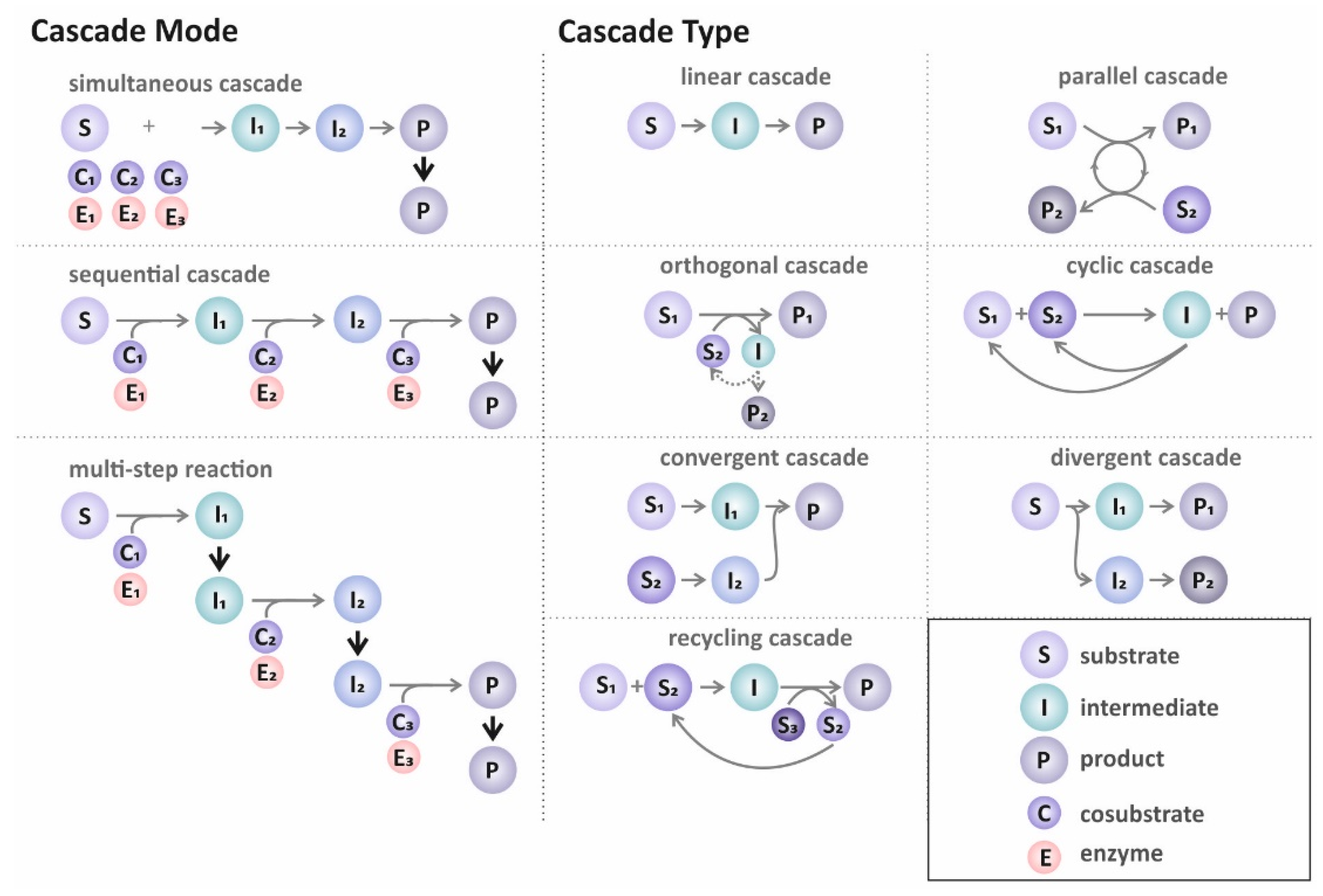 Catalysts Free FullText Getting the Most Out of Enzyme Cascades