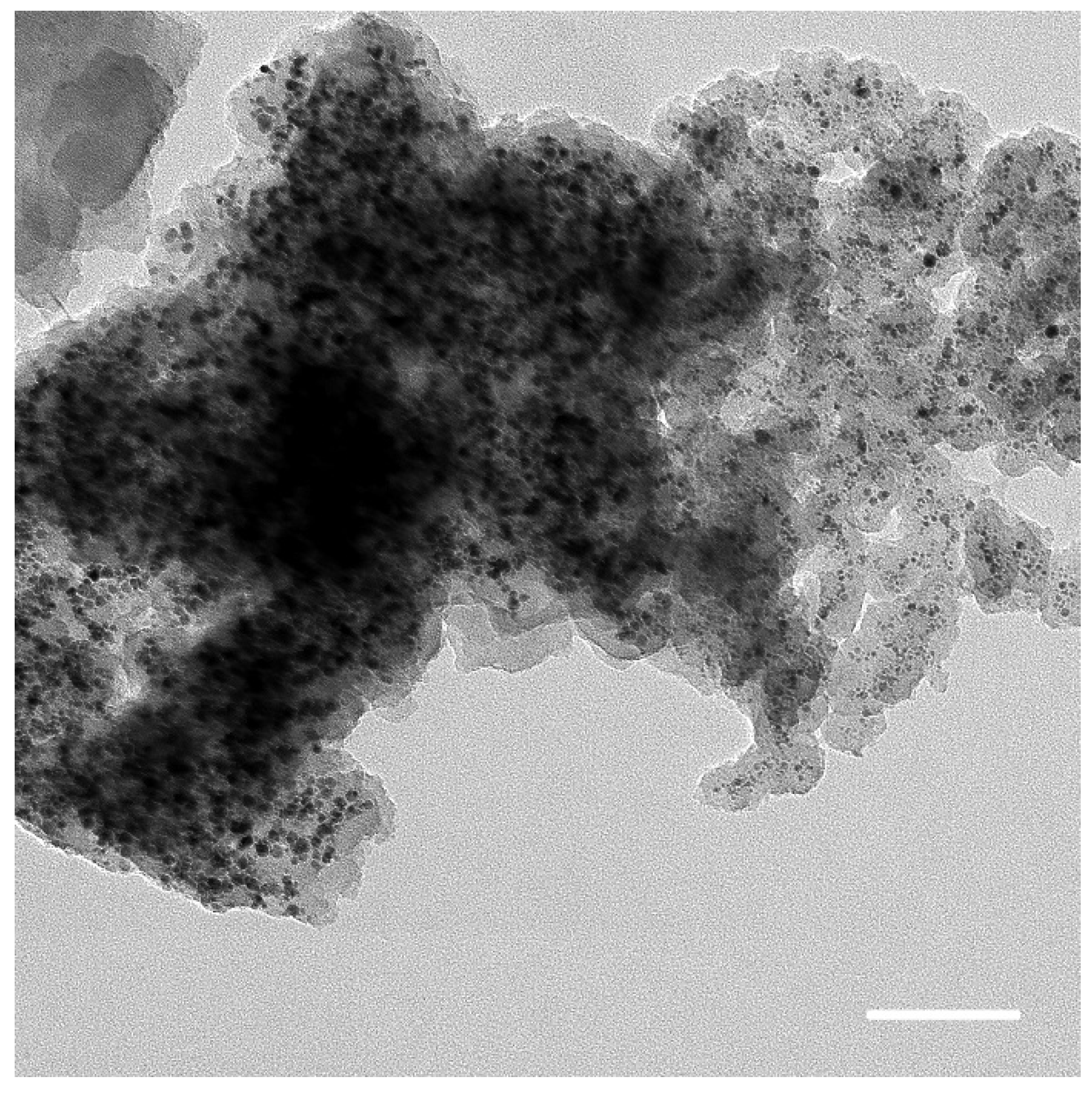 Catalysts 11 01191 g006 550