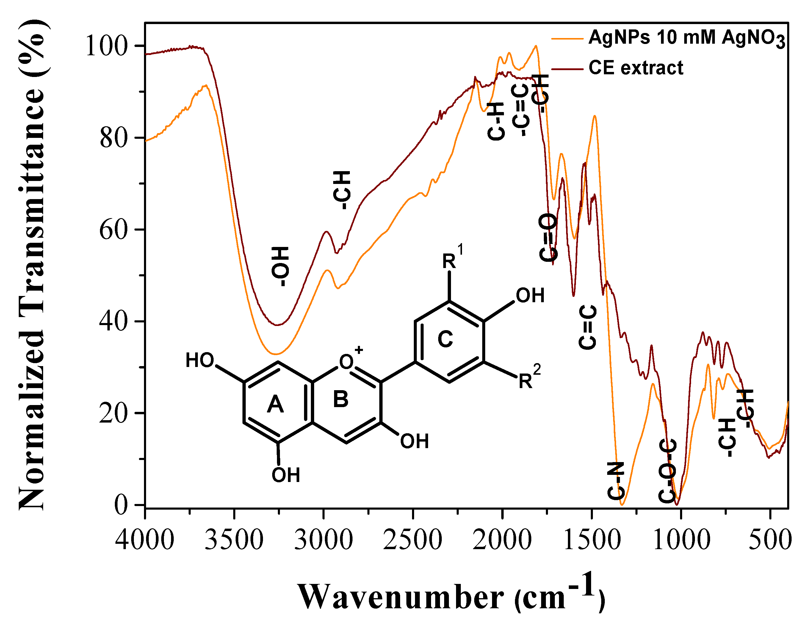 Catalysts 11 01195 g005