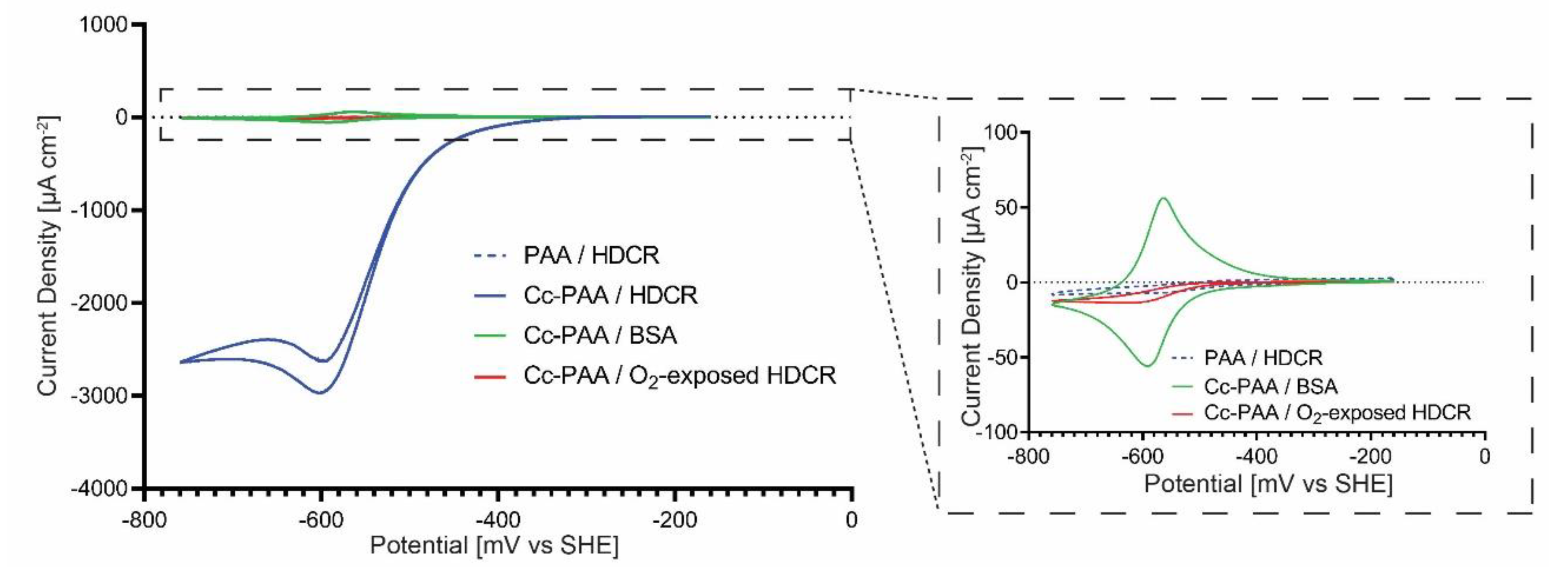 Catalysts 11 01197 g002