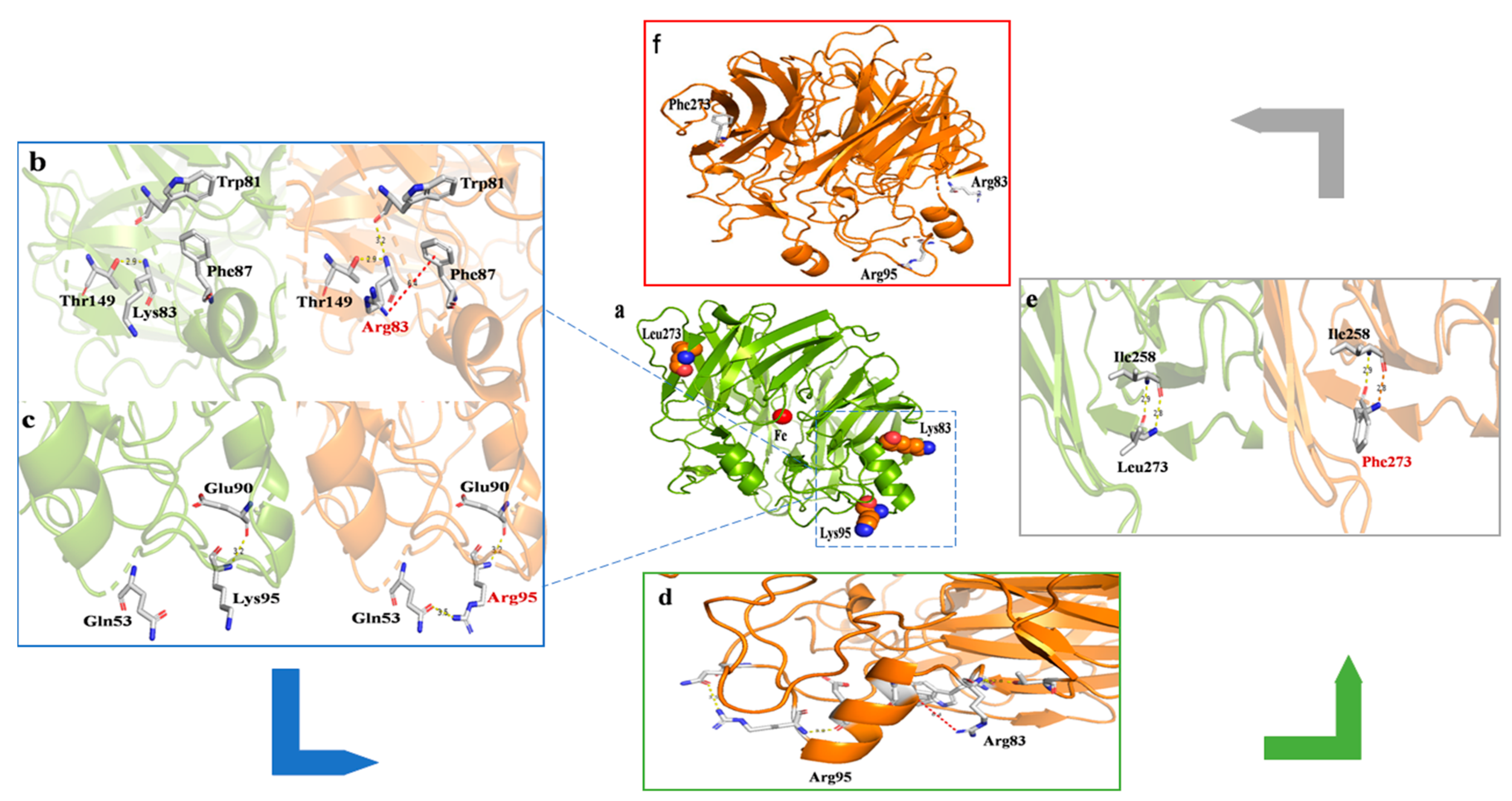 Catalysts 11 01199 g005