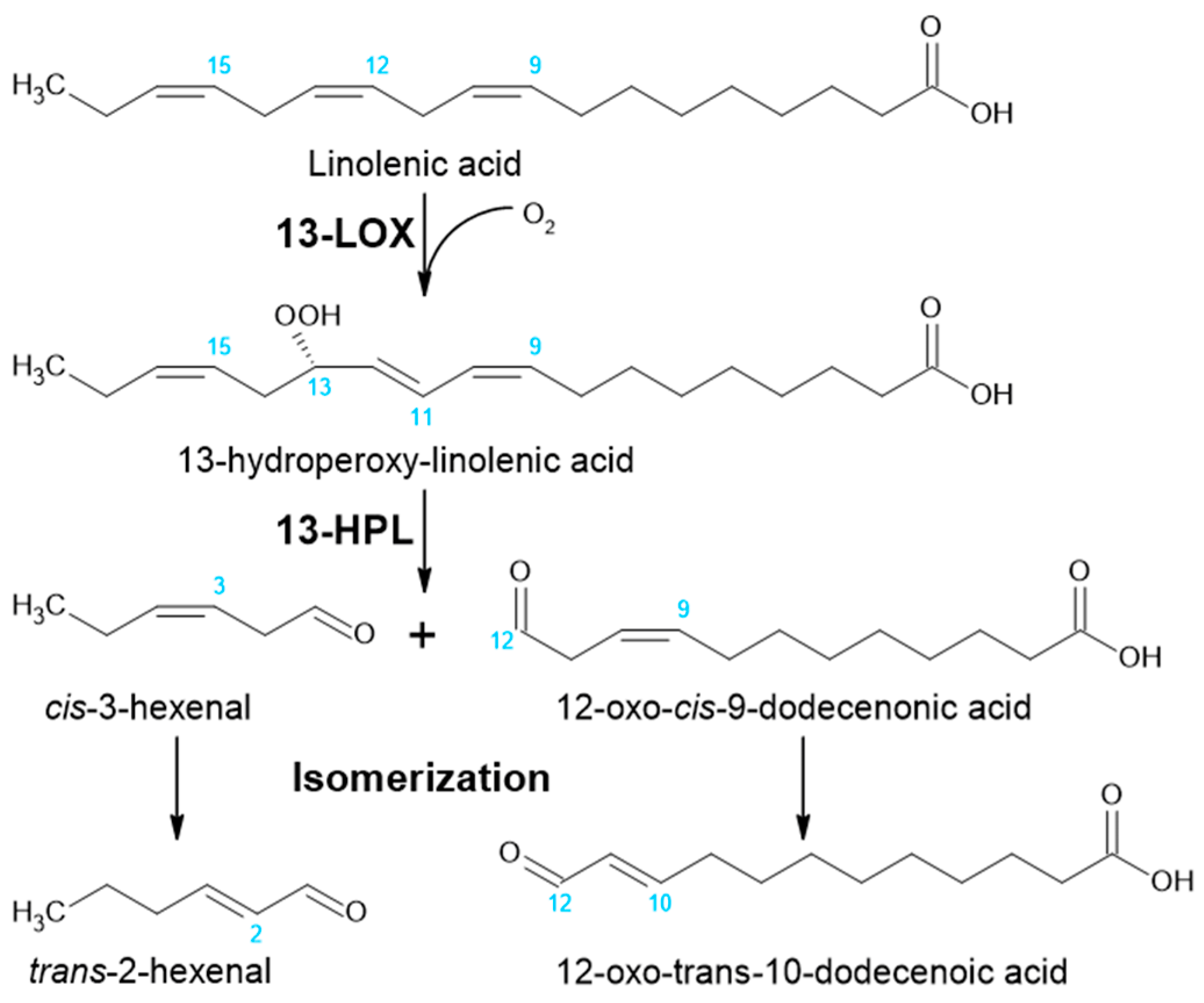 Catalysts 11 01201 g001 550