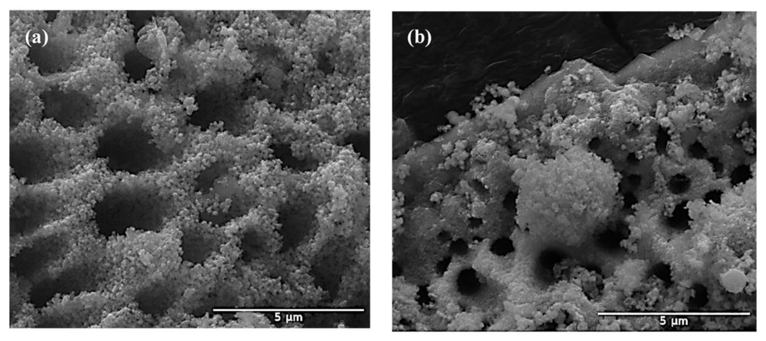 Catalysts 11 01205 g002