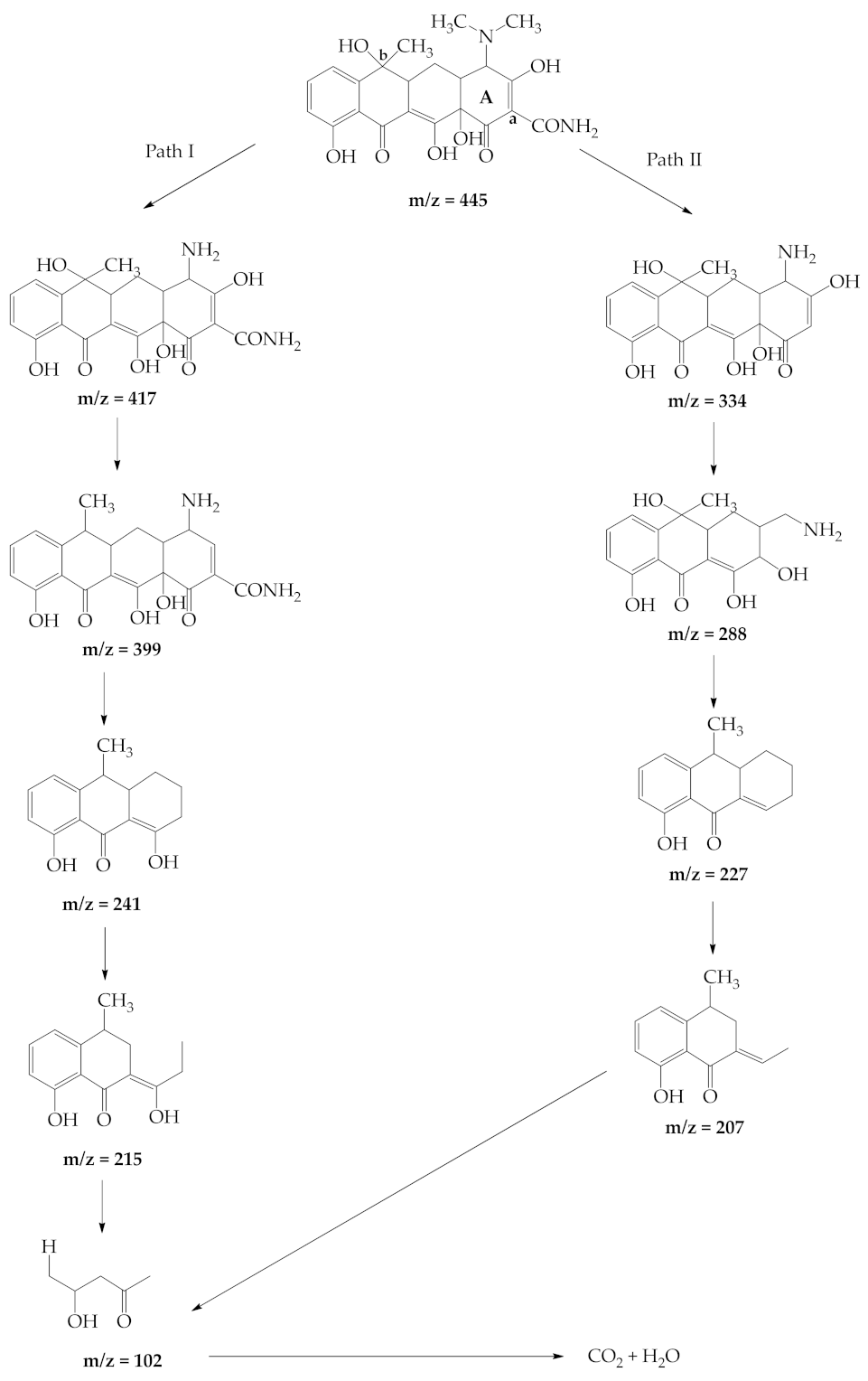 Catalysts 11 01205 g008