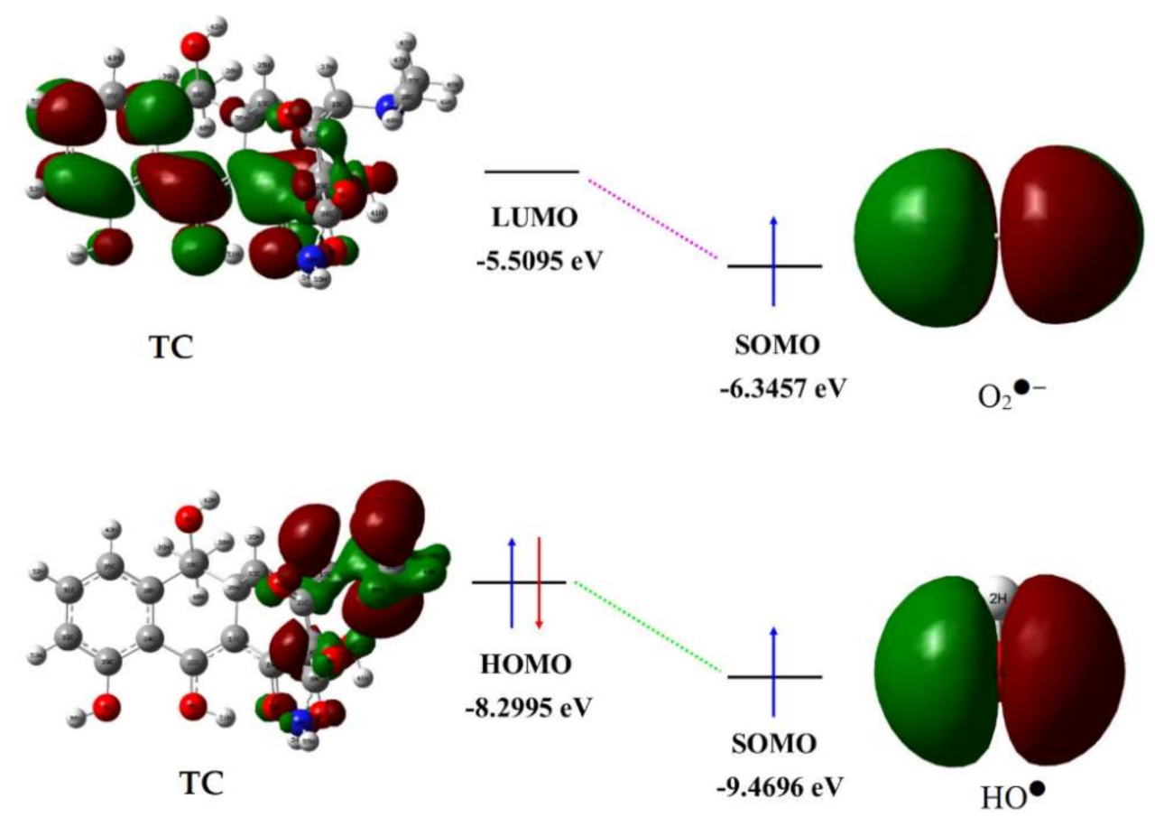 Catalysts 11 01205 g009