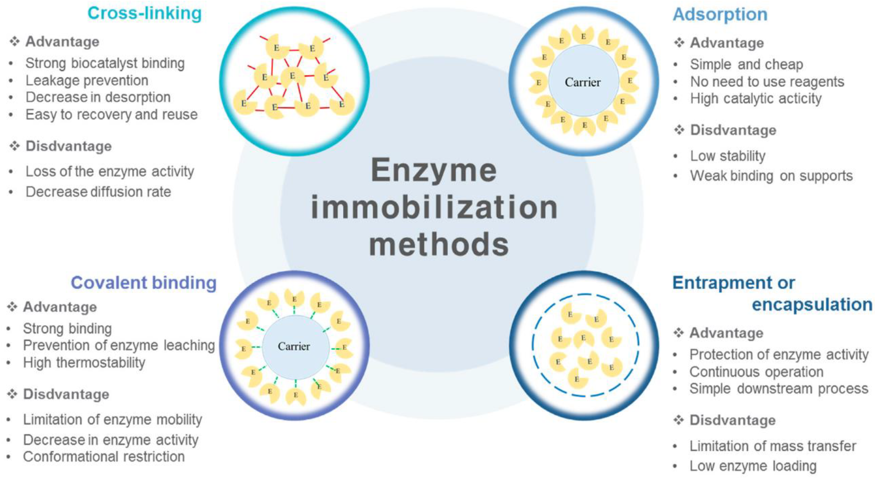 Catalysts 11 01211 g001