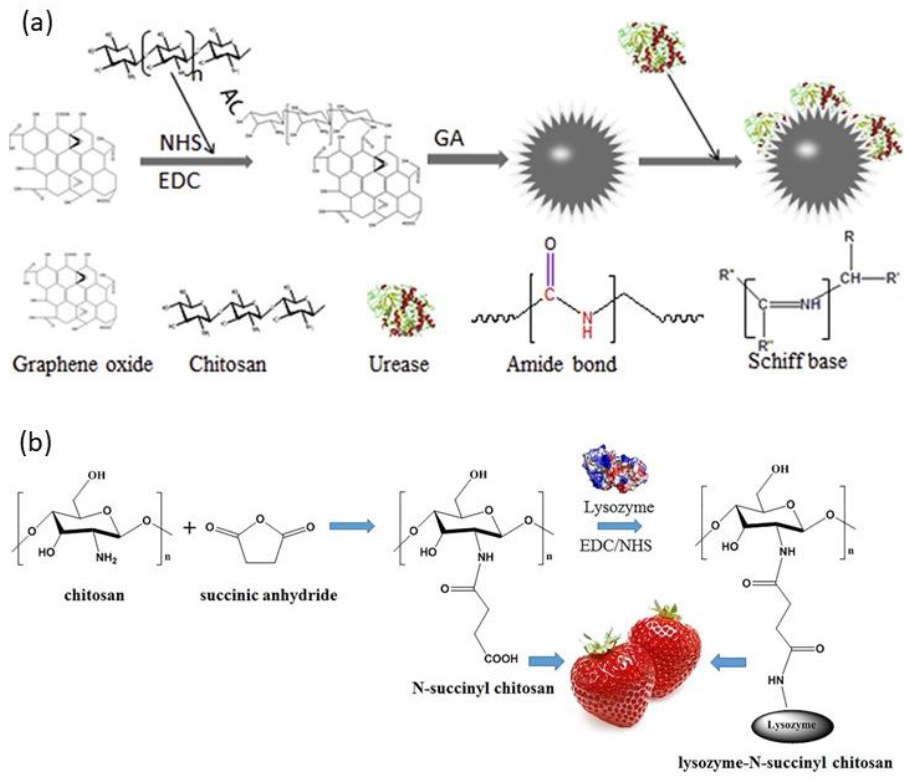 Catalysts 11 01211 g003
