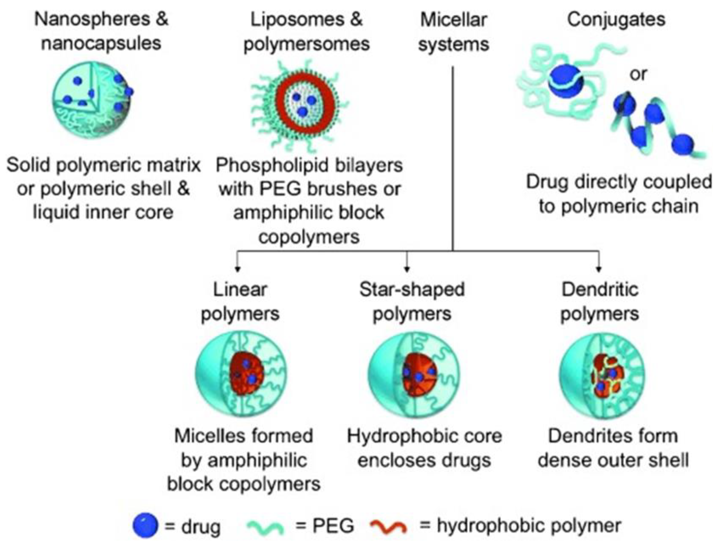 Catalysts 11 01211 g004