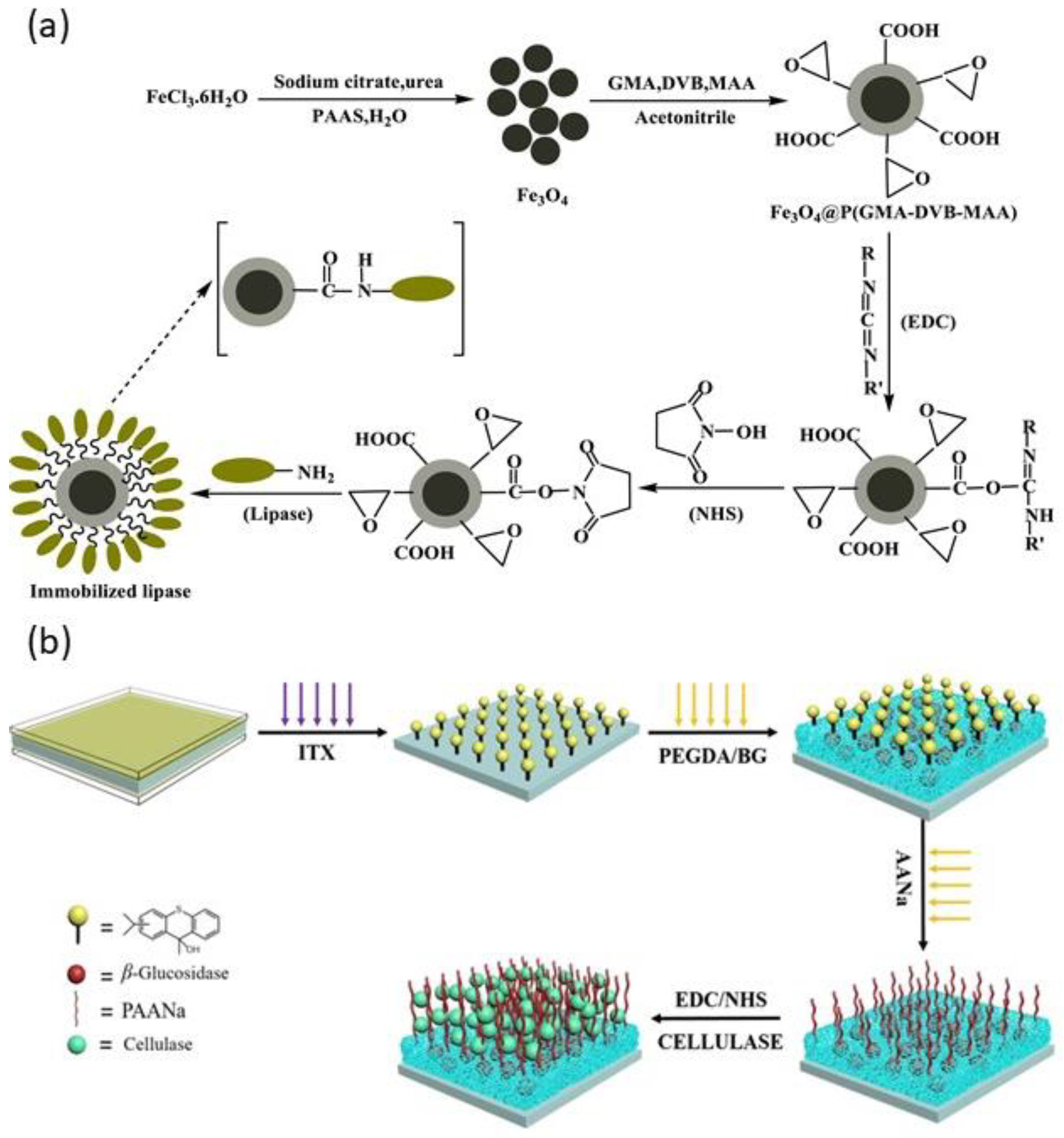 Catalysts 11 01211 g005