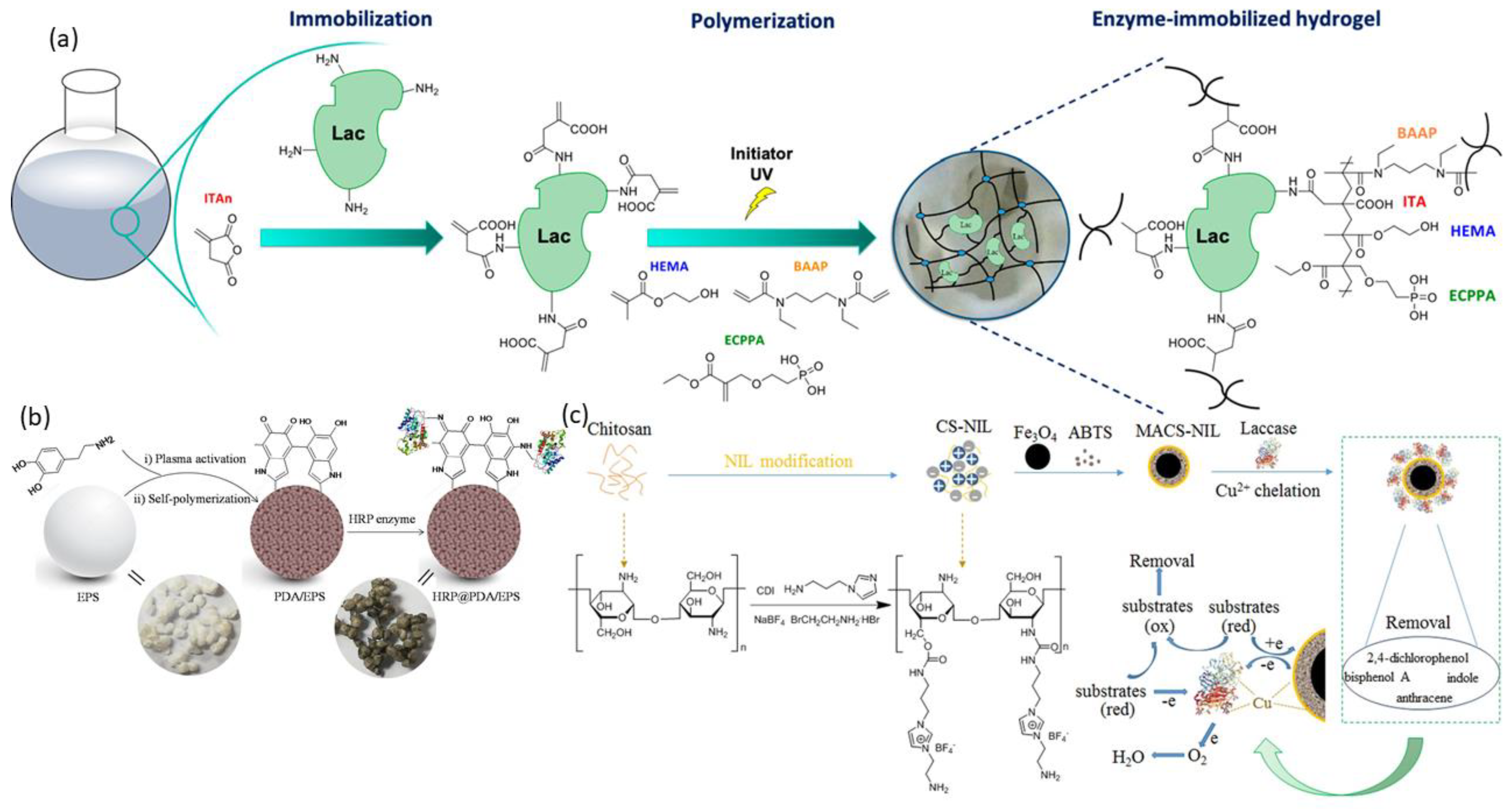 Catalysts 11 01211 g006