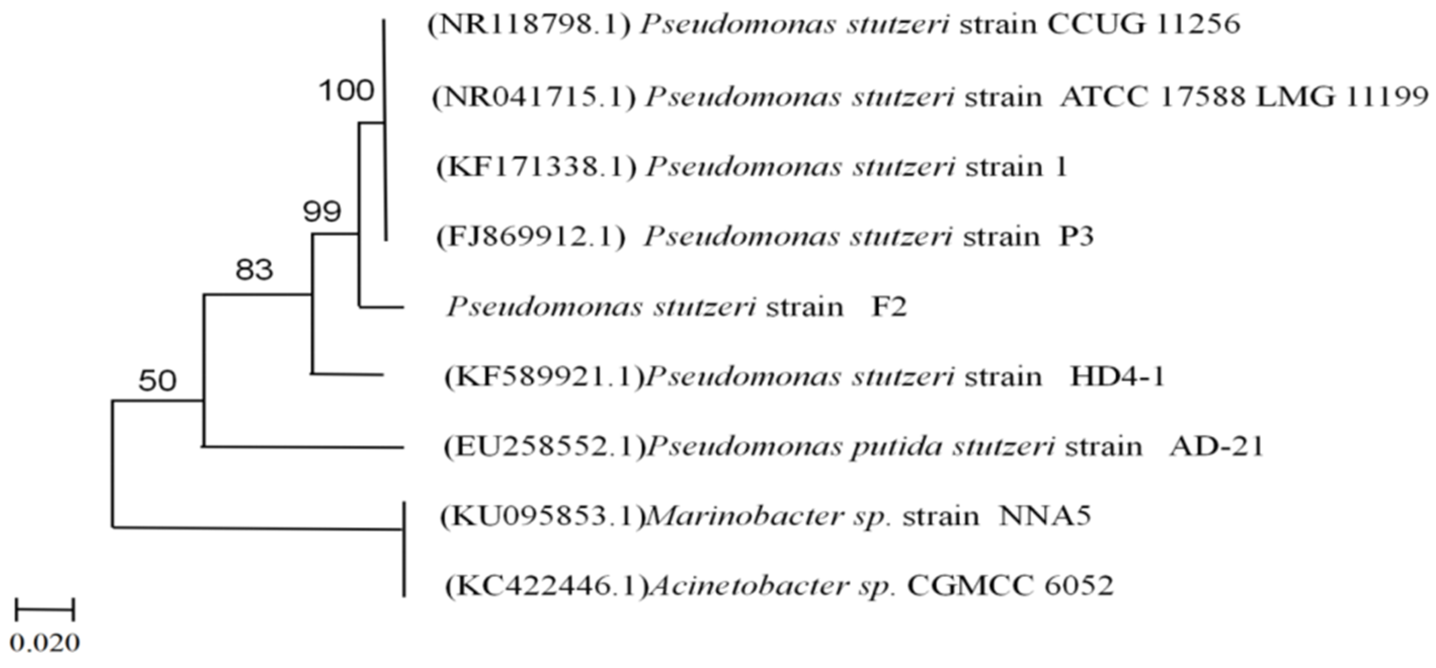 Catalysts 11 01214 g002 550