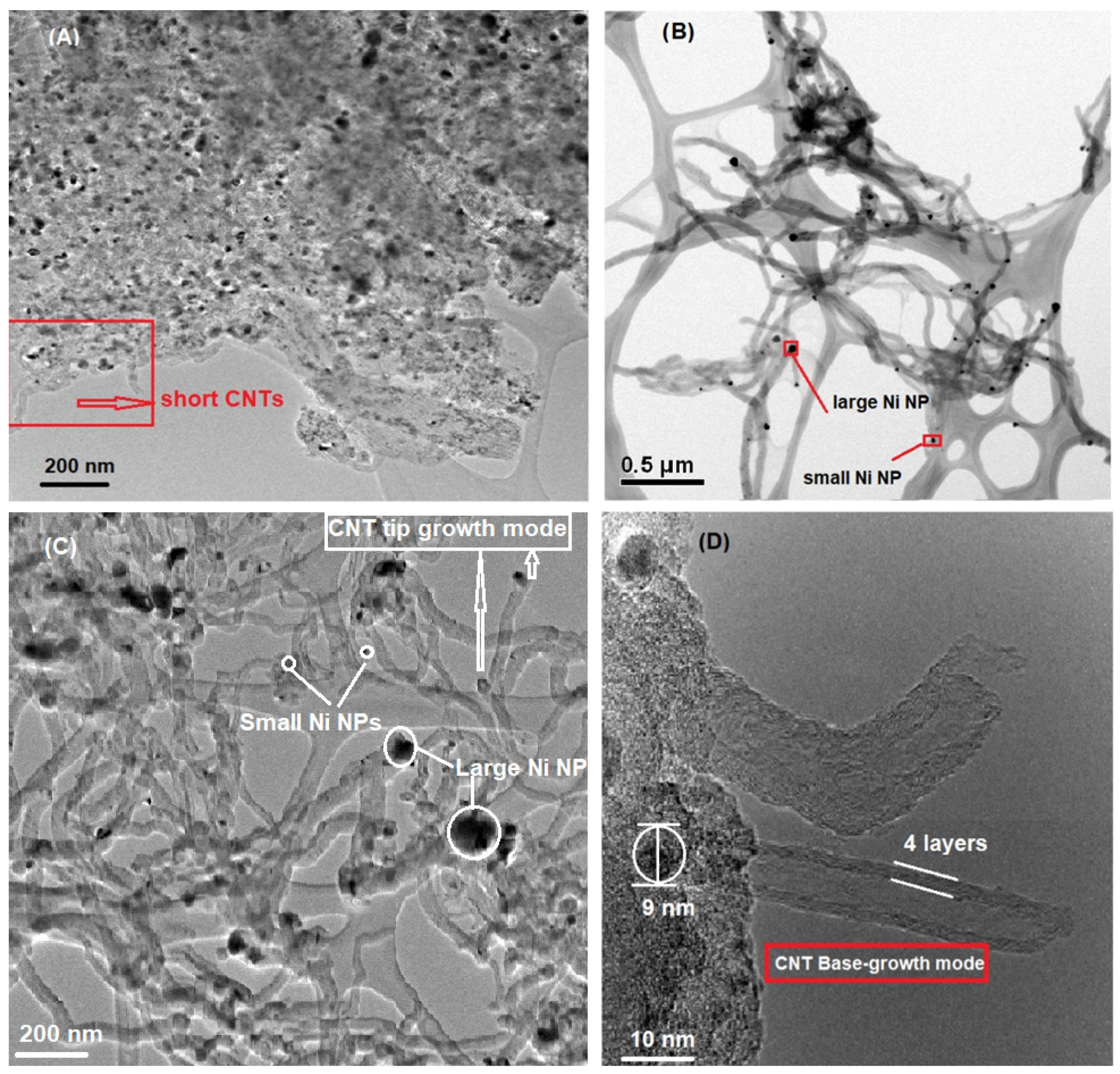 Catalysts 11 01217 g009