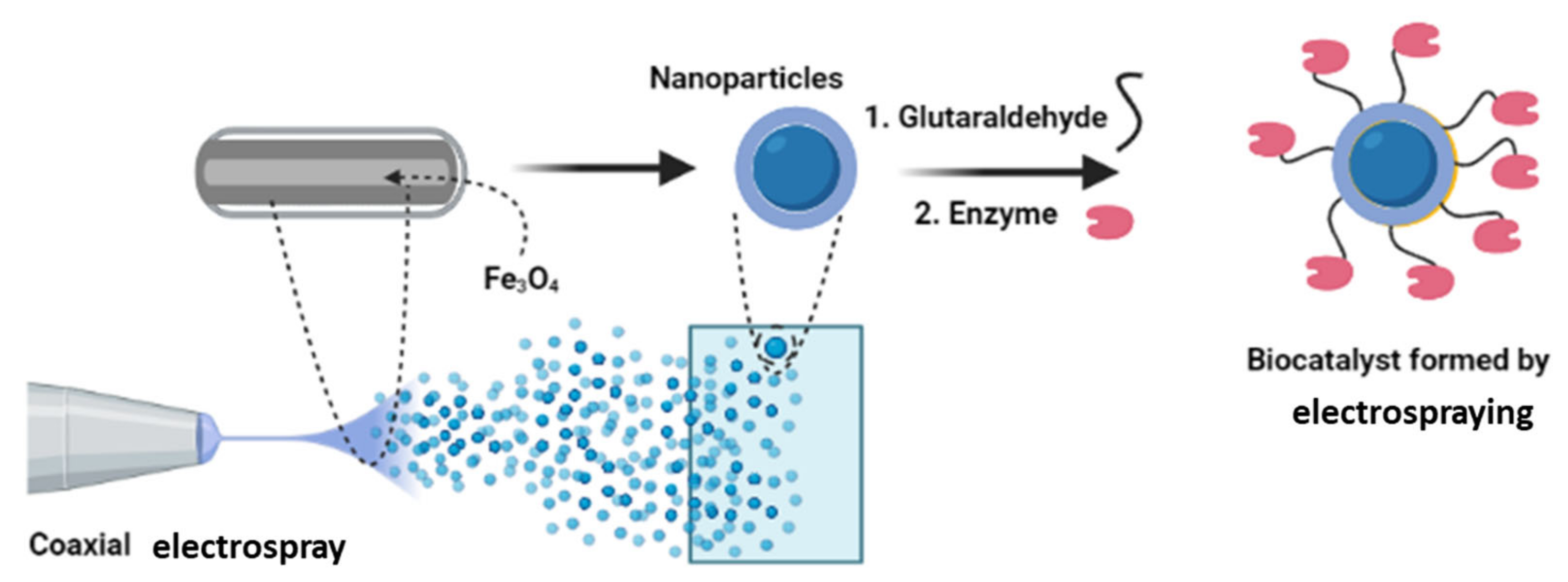 Catalysts 11 01222 g006 550