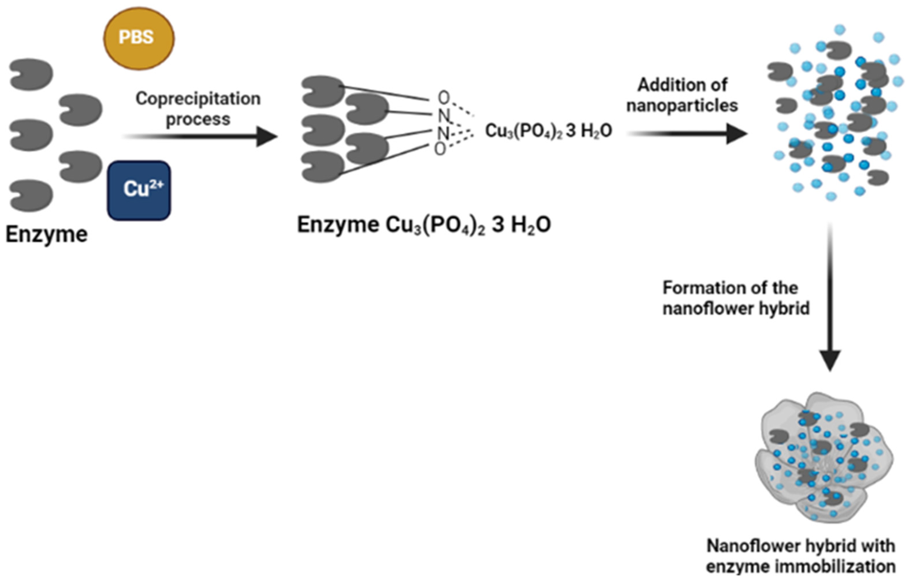 Catalysts 11 01222 g007 550