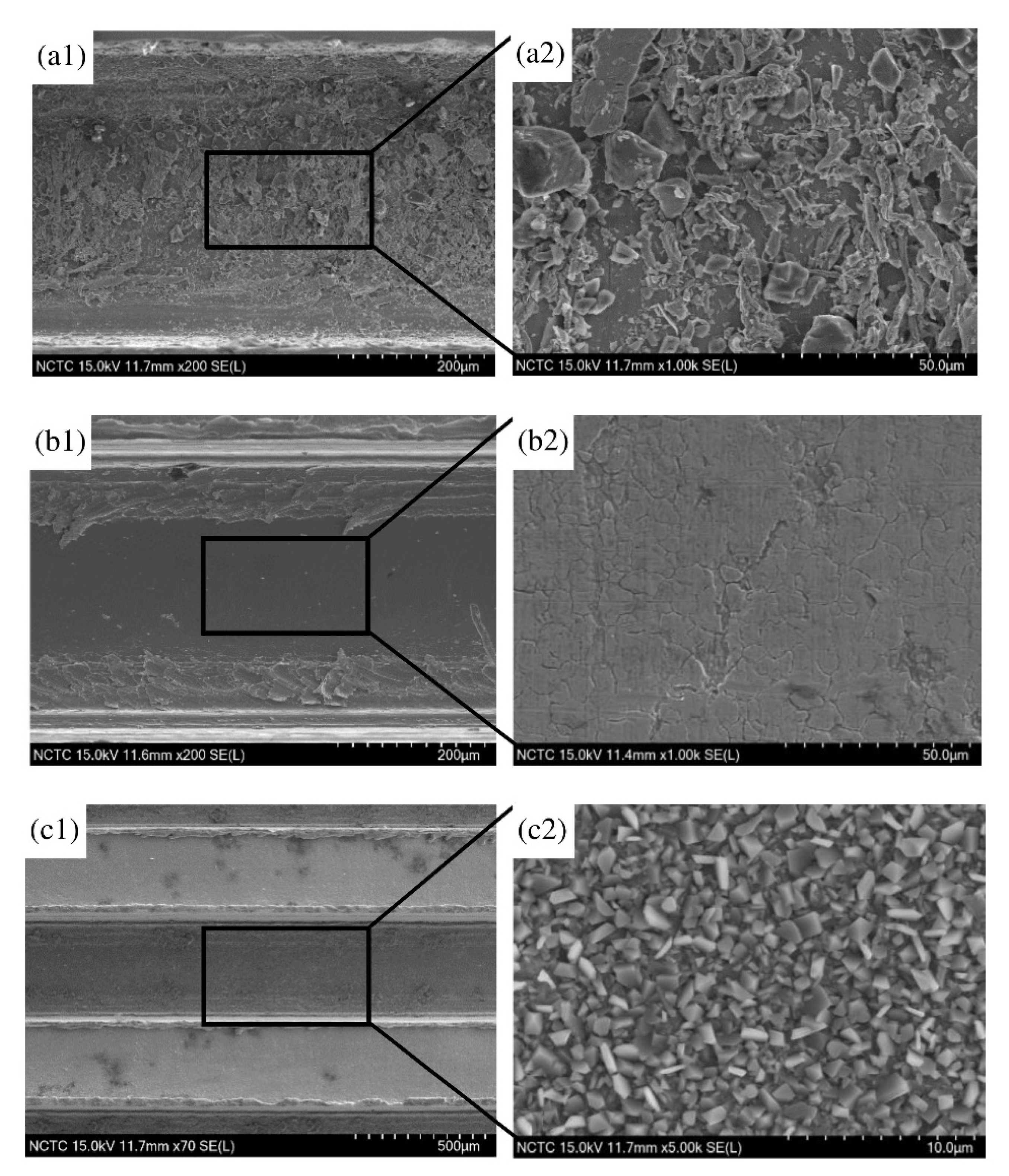 Catalysts 11 01224 g003