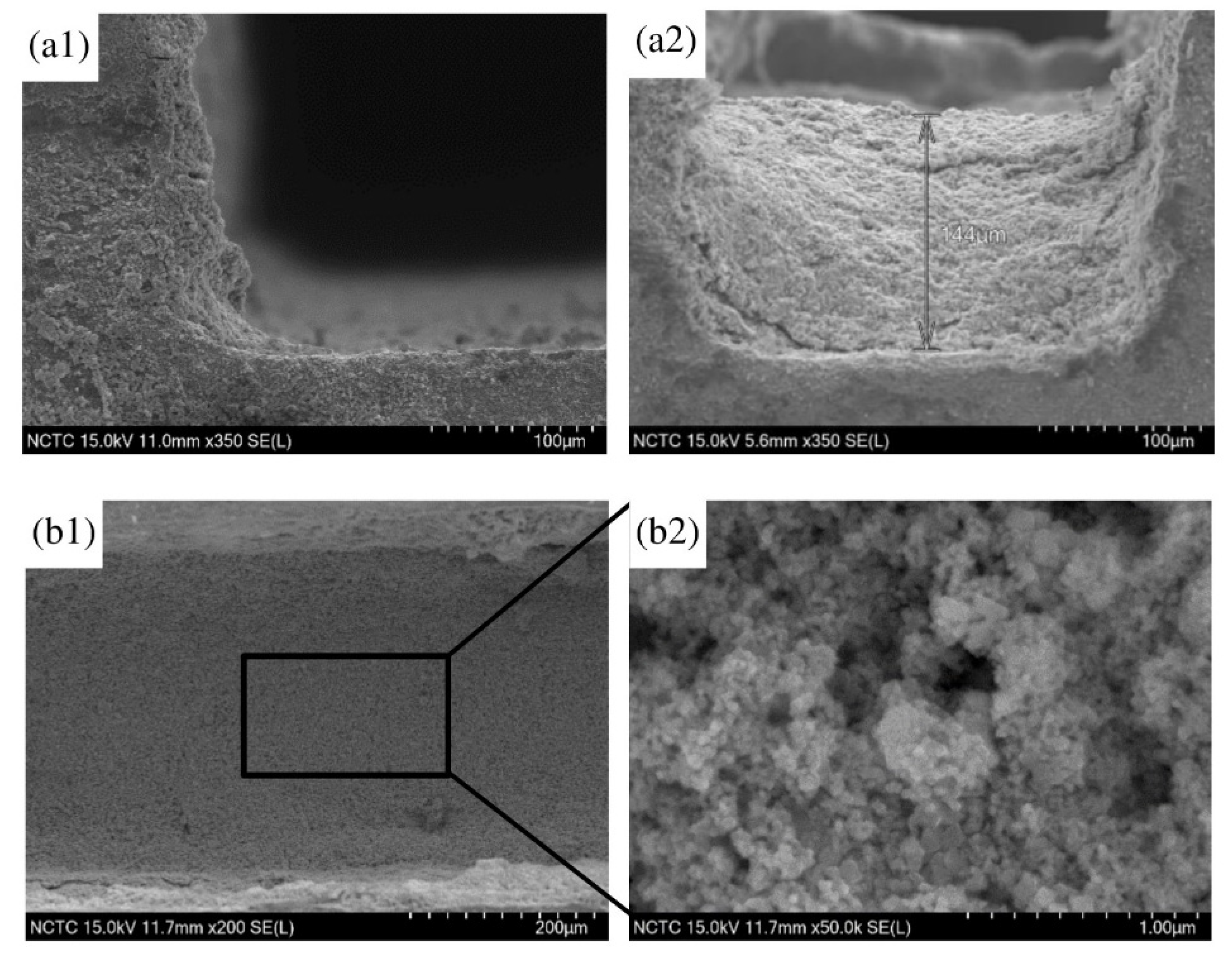 Catalysts 11 01224 g004