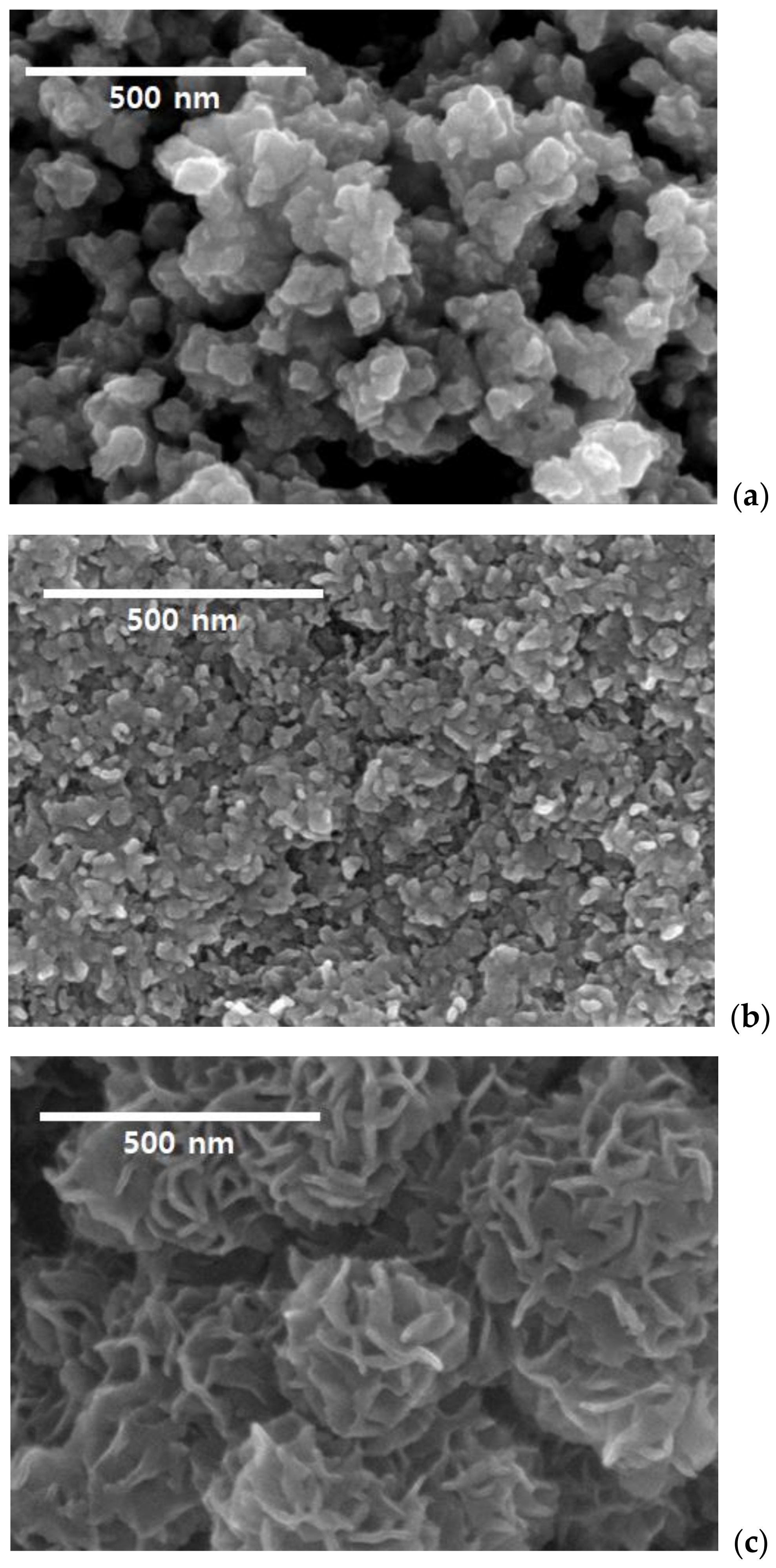 Catalysts 11 01229 g001 550