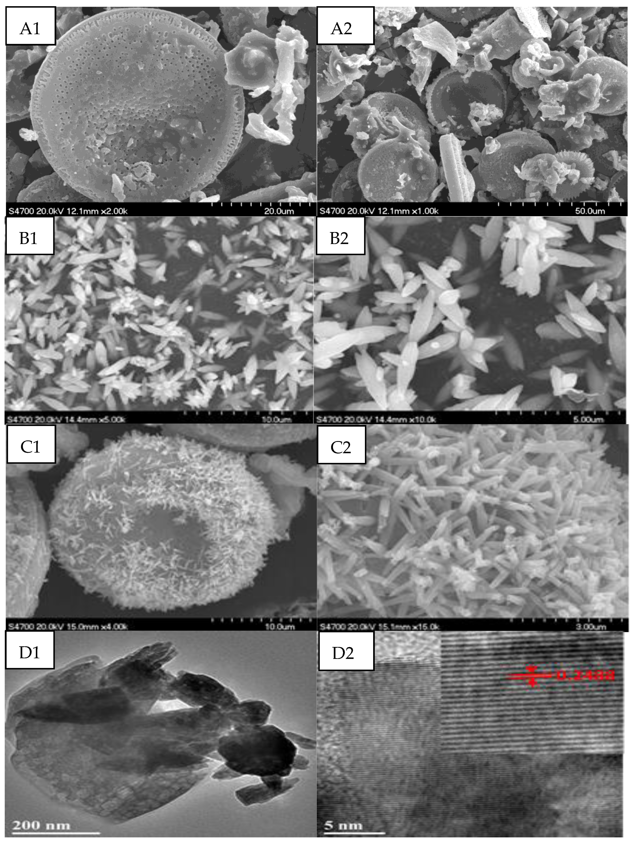Catalysts 11 01232 g002 550
