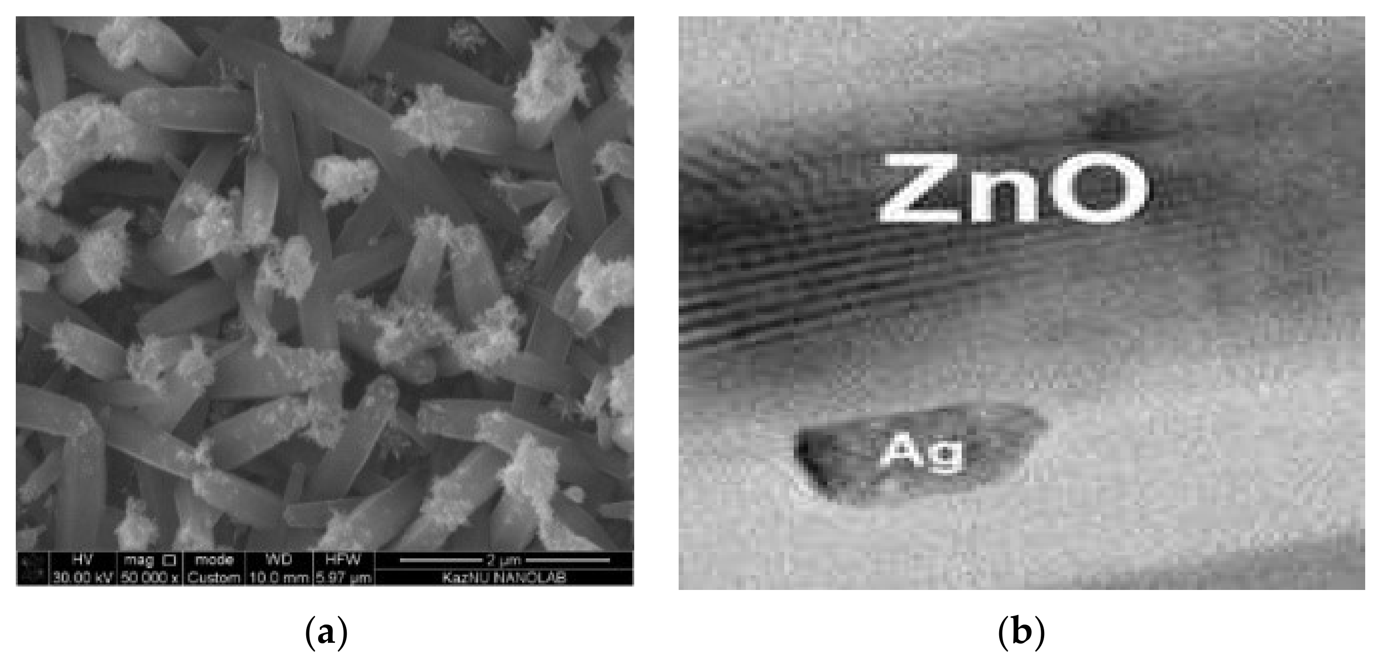 Catalysts 11 01235 g002 550