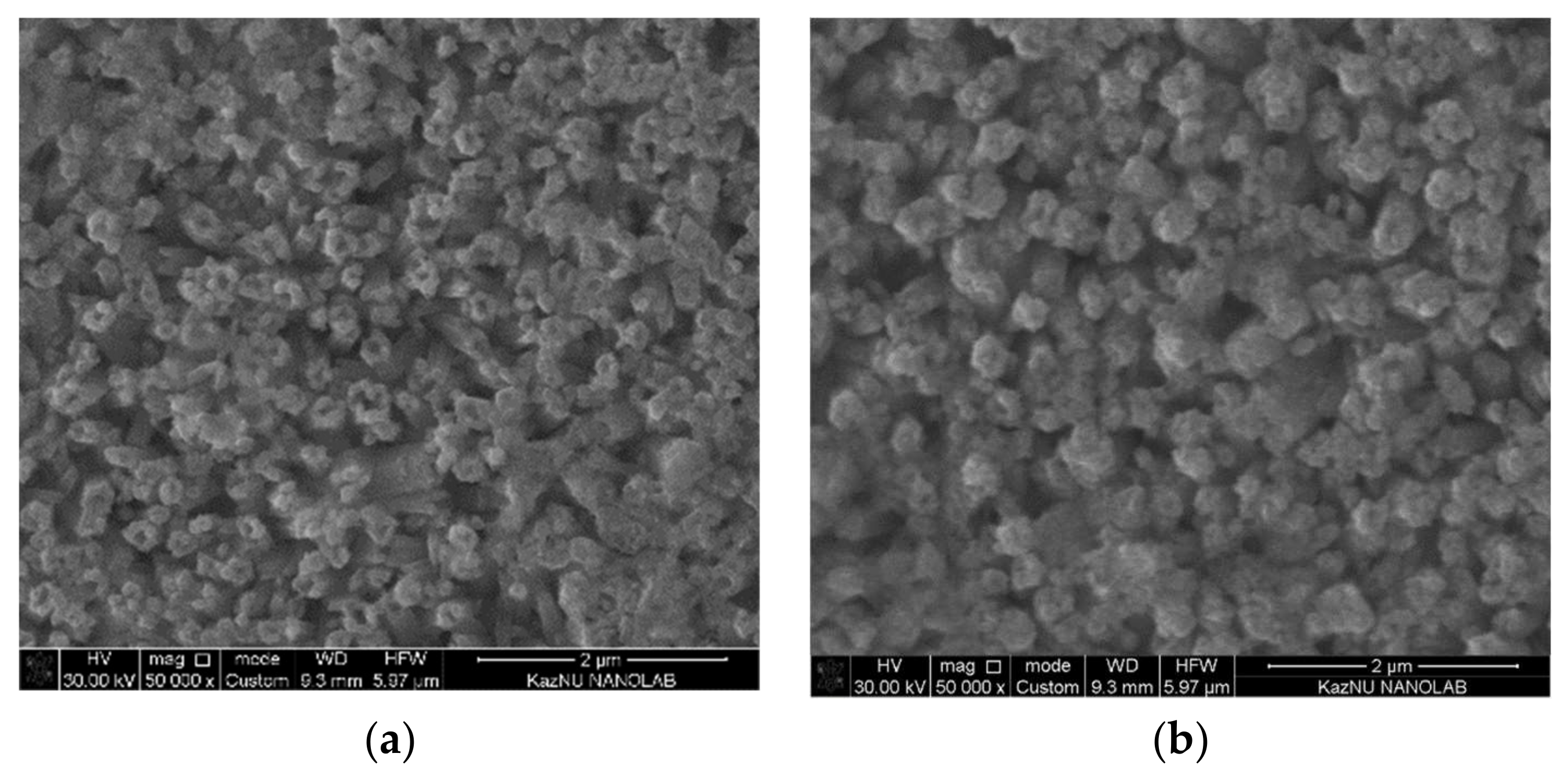 Catalysts 11 01235 g004 550