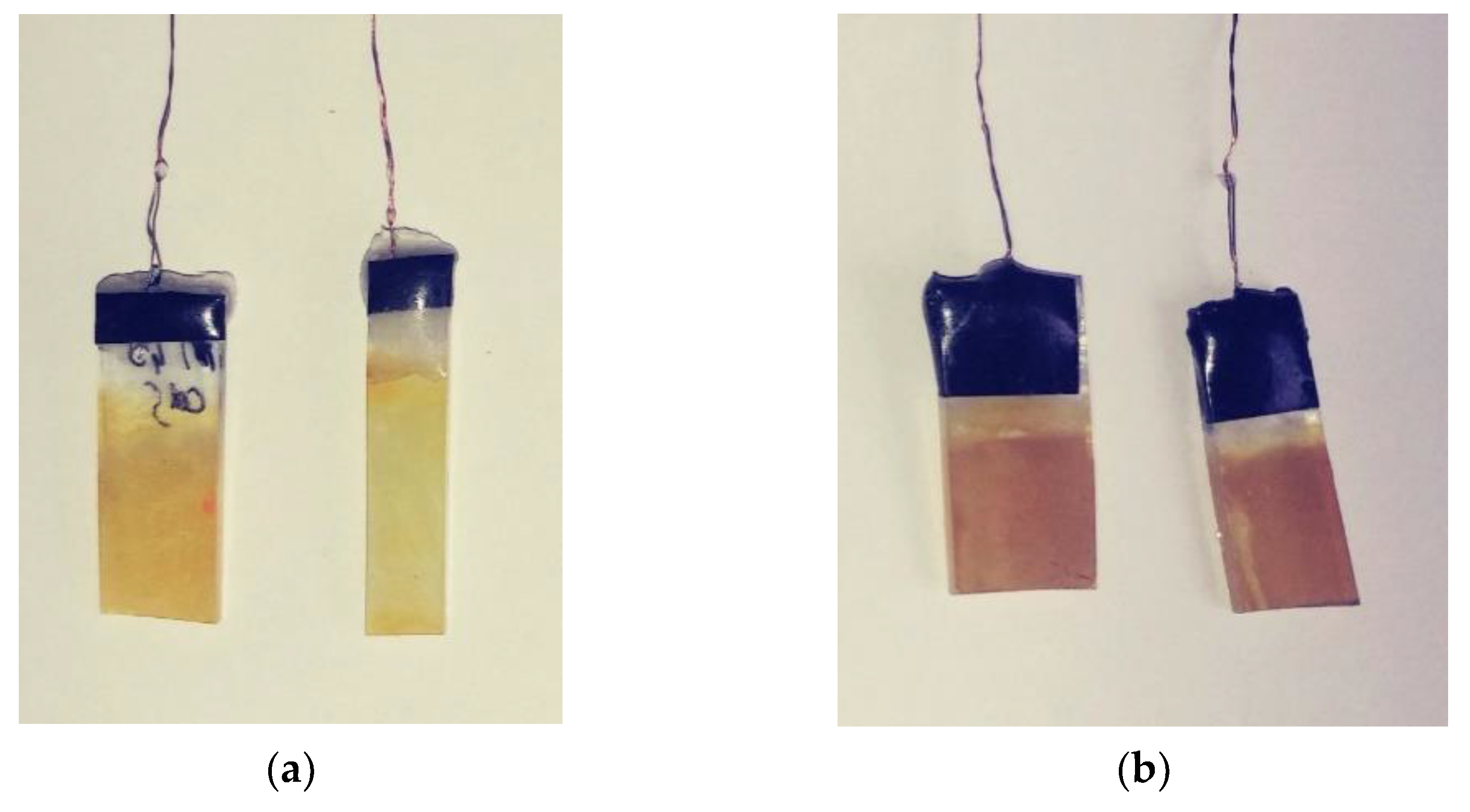 Catalysts 11 01235 g006 550