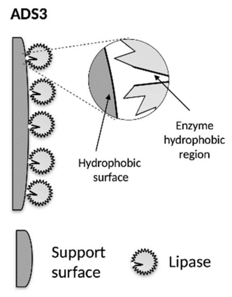 Catalysts 11 01236 g001 550