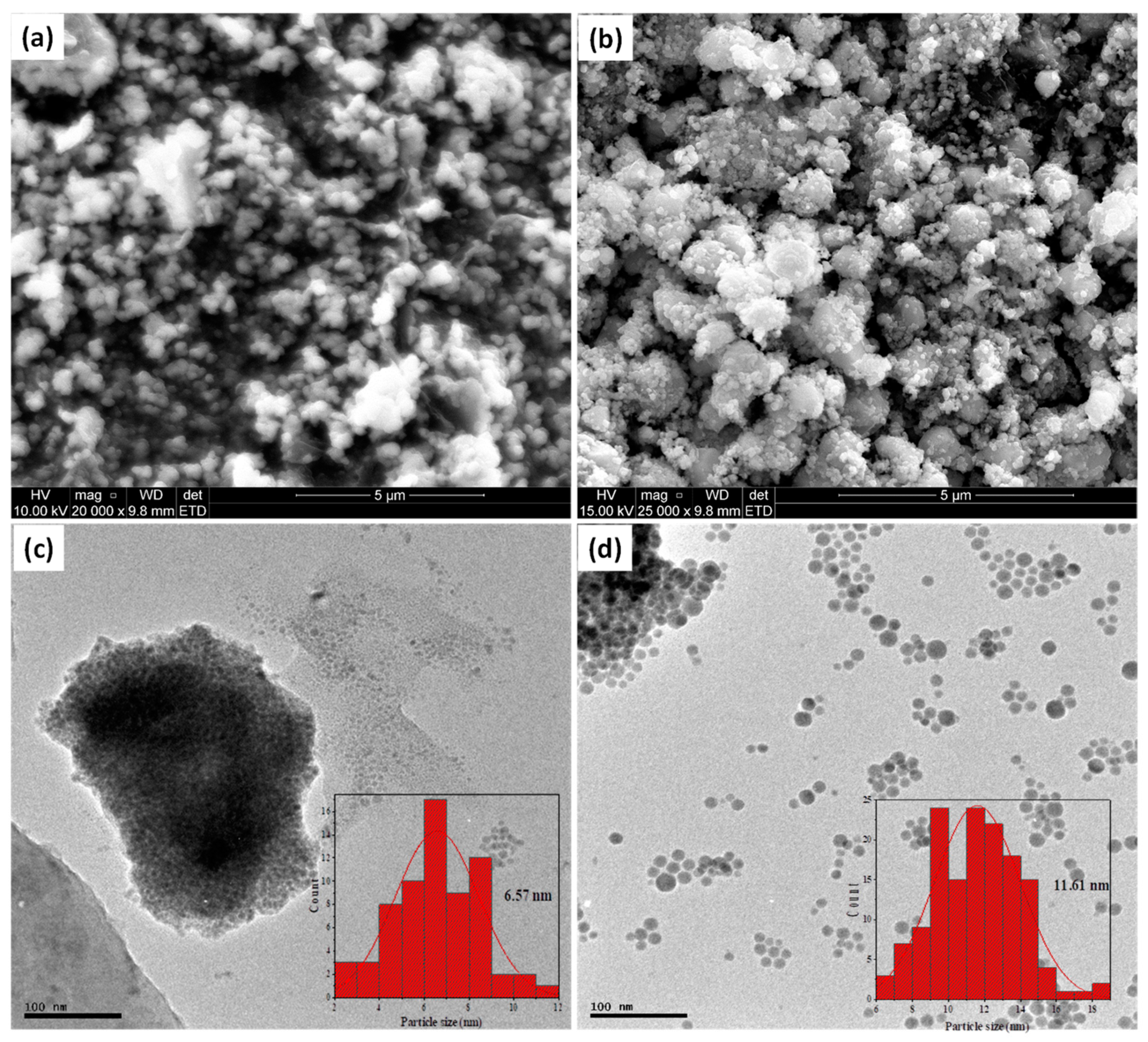 Catalysts 11 01238 g002