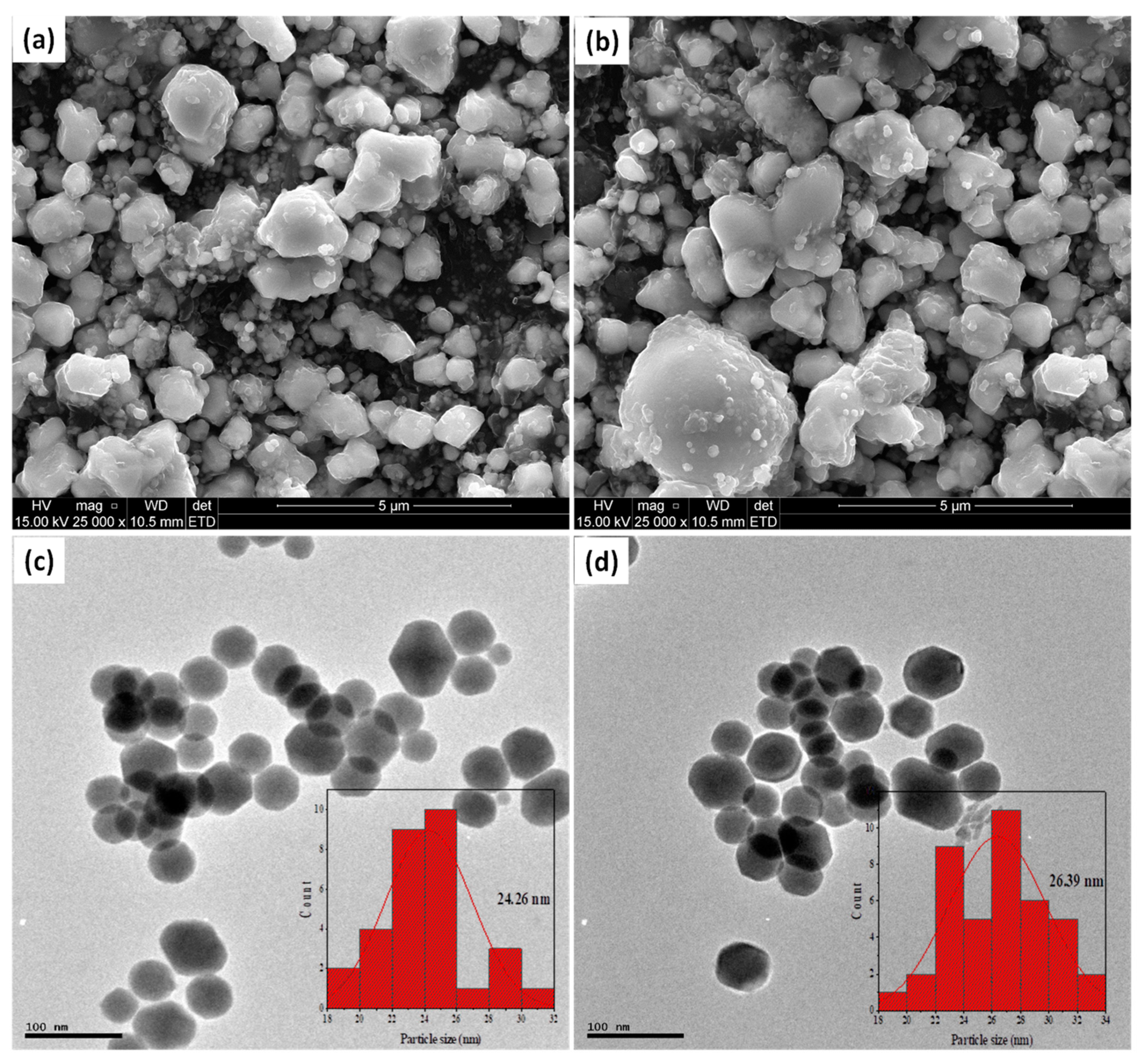 Catalysts 11 01238 g003