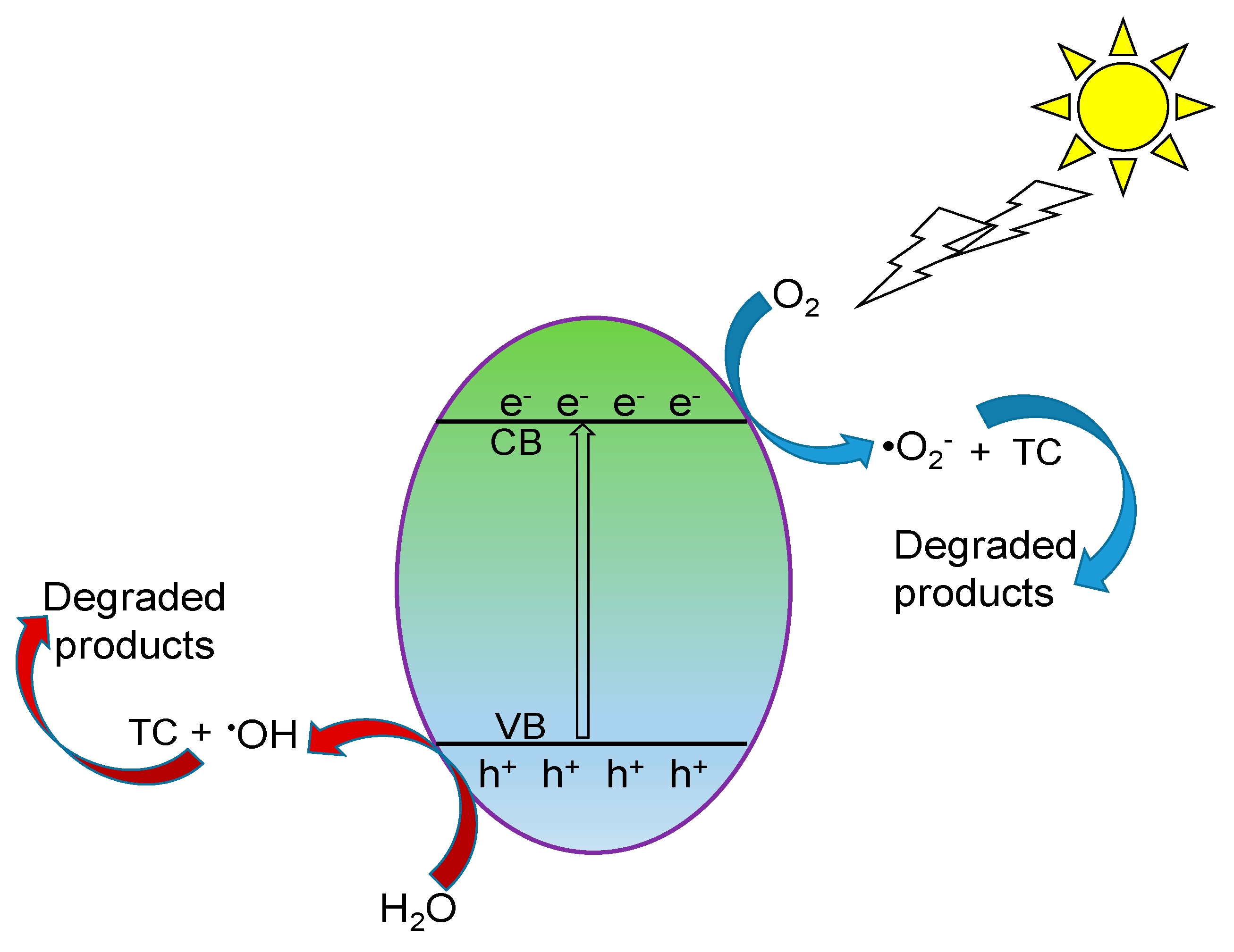 Catalysts 11 01238 g010
