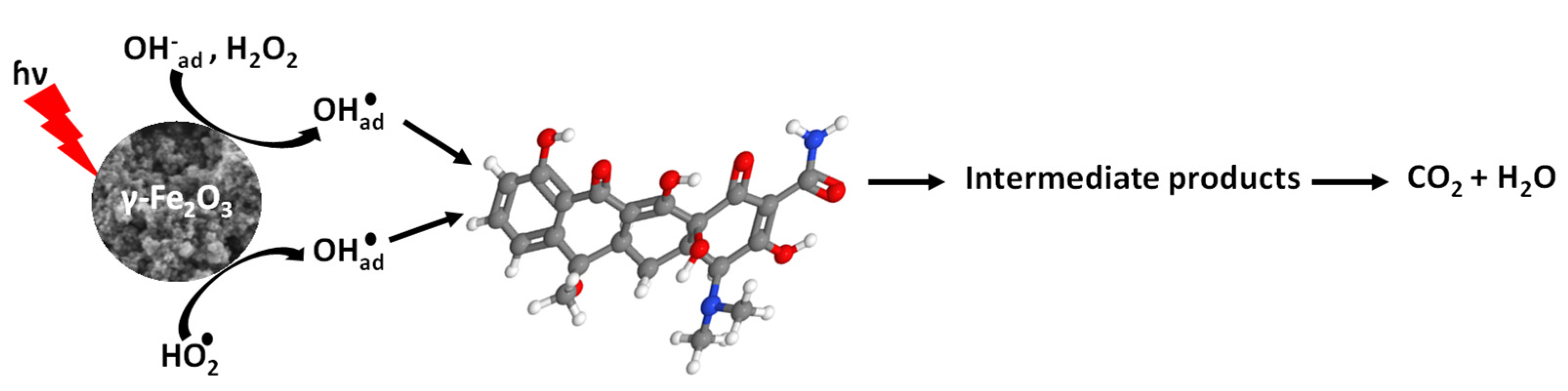 Catalysts 11 01243 g011 550