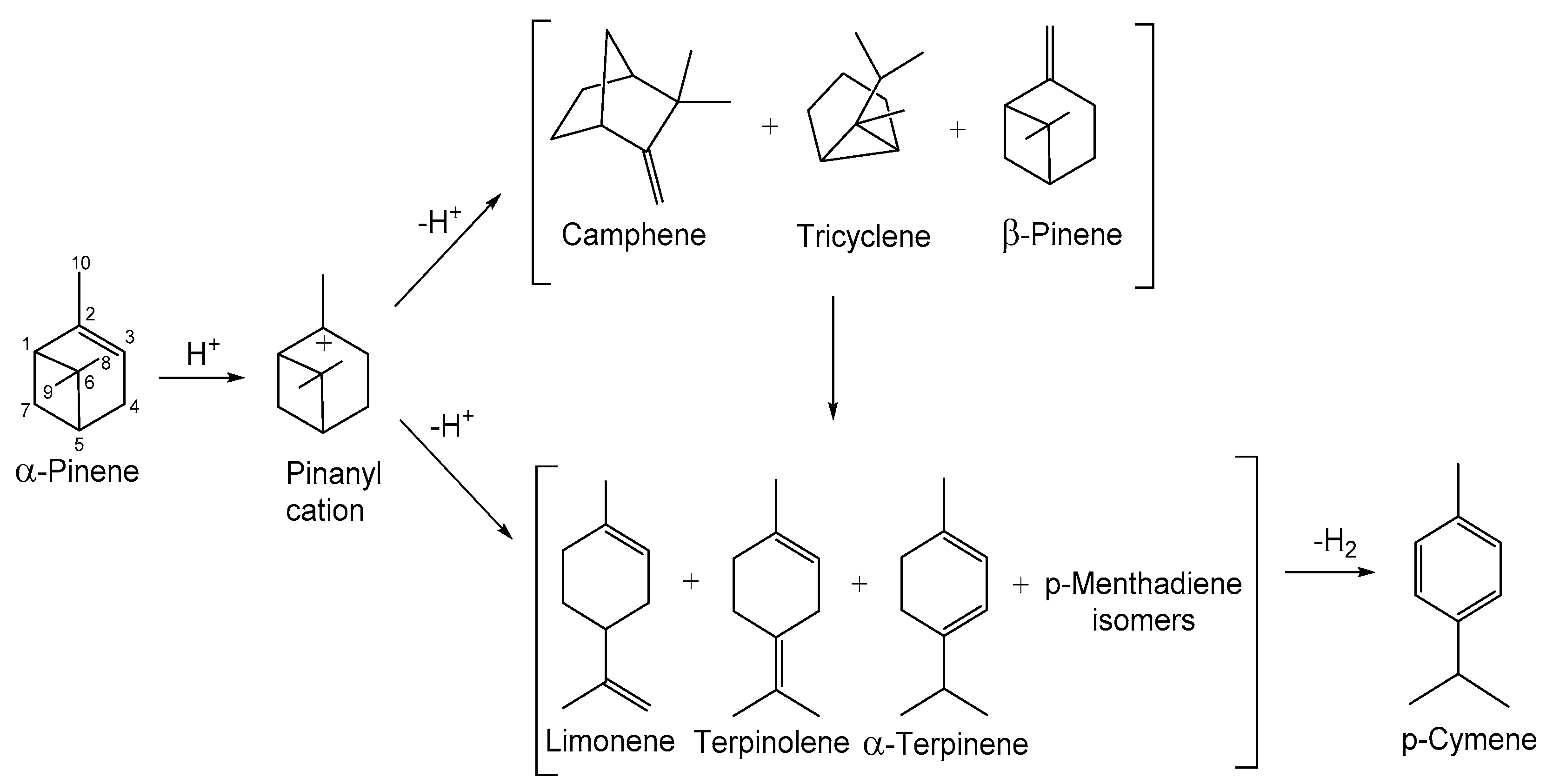 Catalysts 11 01245 sch001