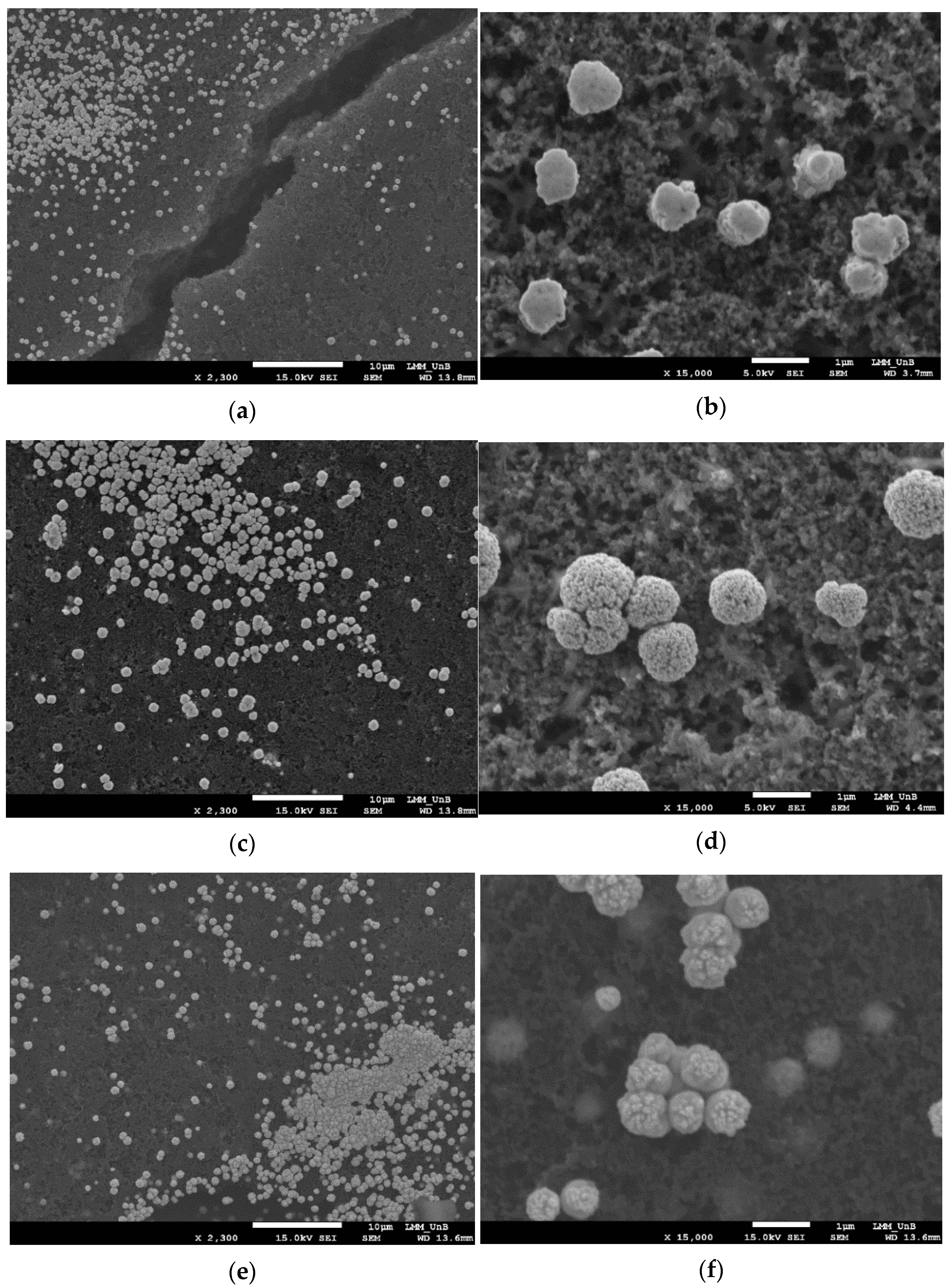 Catalysts 11 01246 g003